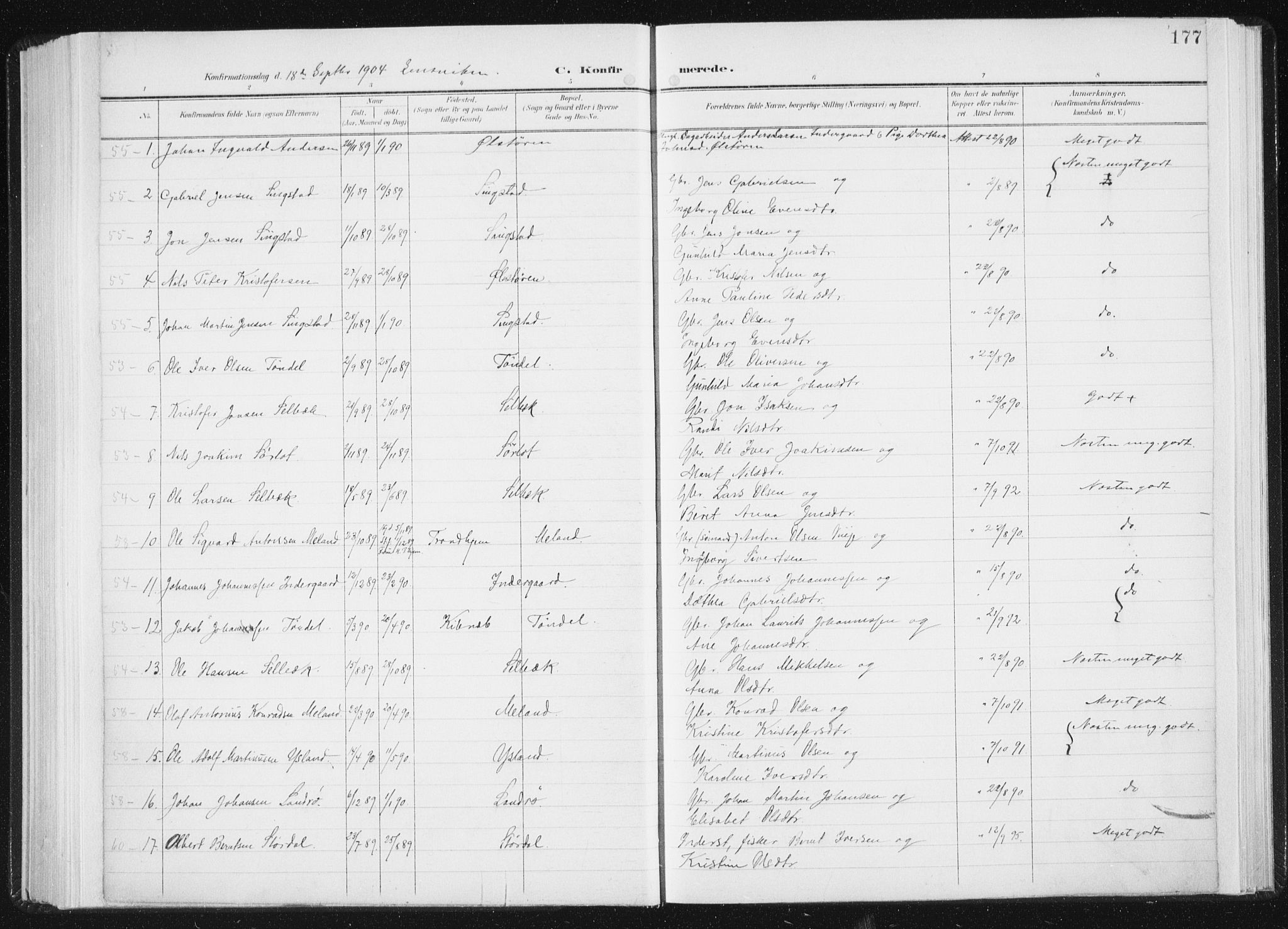 Ministerialprotokoller, klokkerbøker og fødselsregistre - Sør-Trøndelag, SAT/A-1456/647/L0635: Parish register (official) no. 647A02, 1896-1911, p. 177