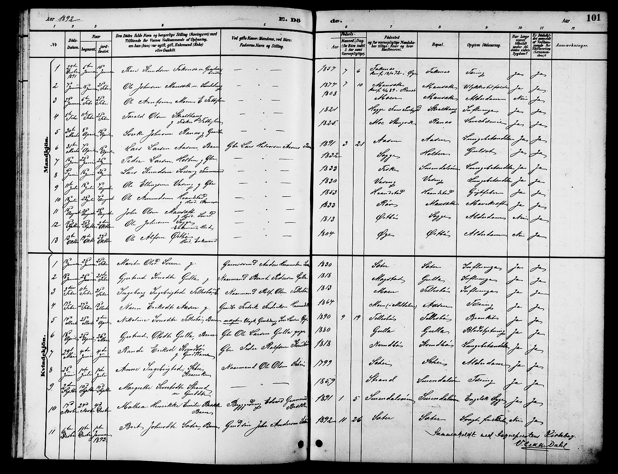 Ministerialprotokoller, klokkerbøker og fødselsregistre - Møre og Romsdal, AV/SAT-A-1454/596/L1058: Parish register (copy) no. 596C01, 1891-1907, p. 101