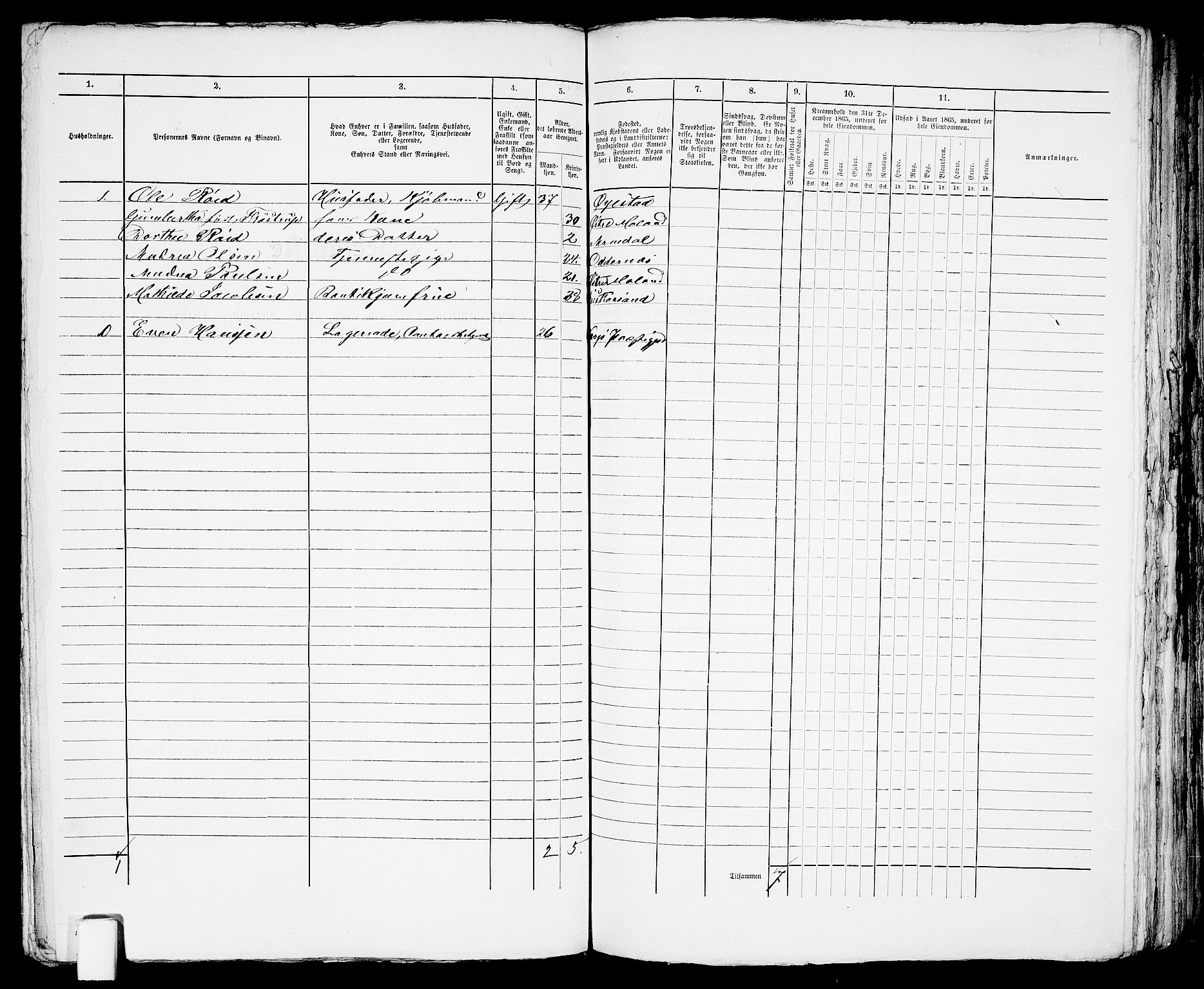 RA, 1865 census for Arendal, 1865, p. 528