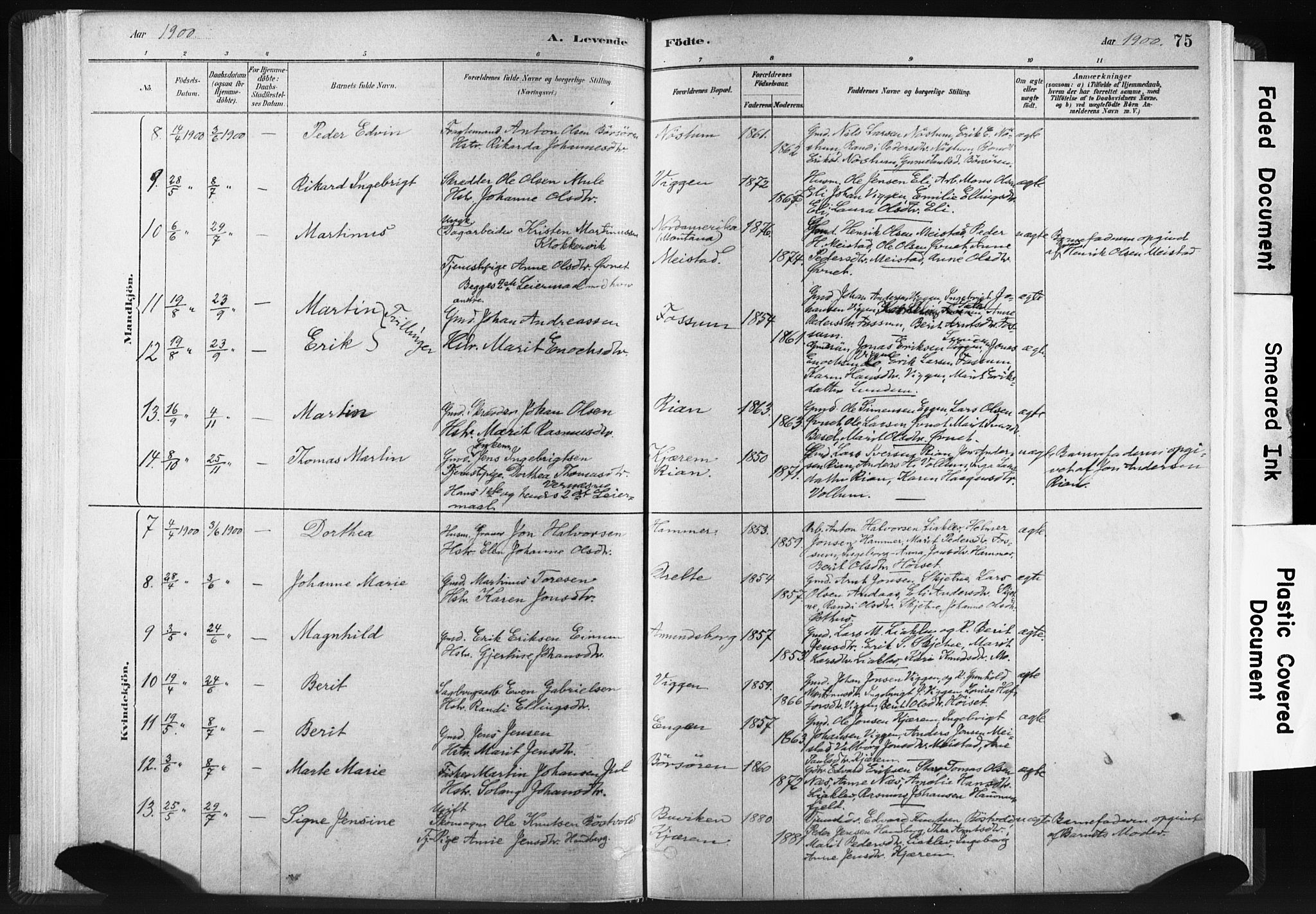 Ministerialprotokoller, klokkerbøker og fødselsregistre - Sør-Trøndelag, SAT/A-1456/665/L0773: Parish register (official) no. 665A08, 1879-1905, p. 75