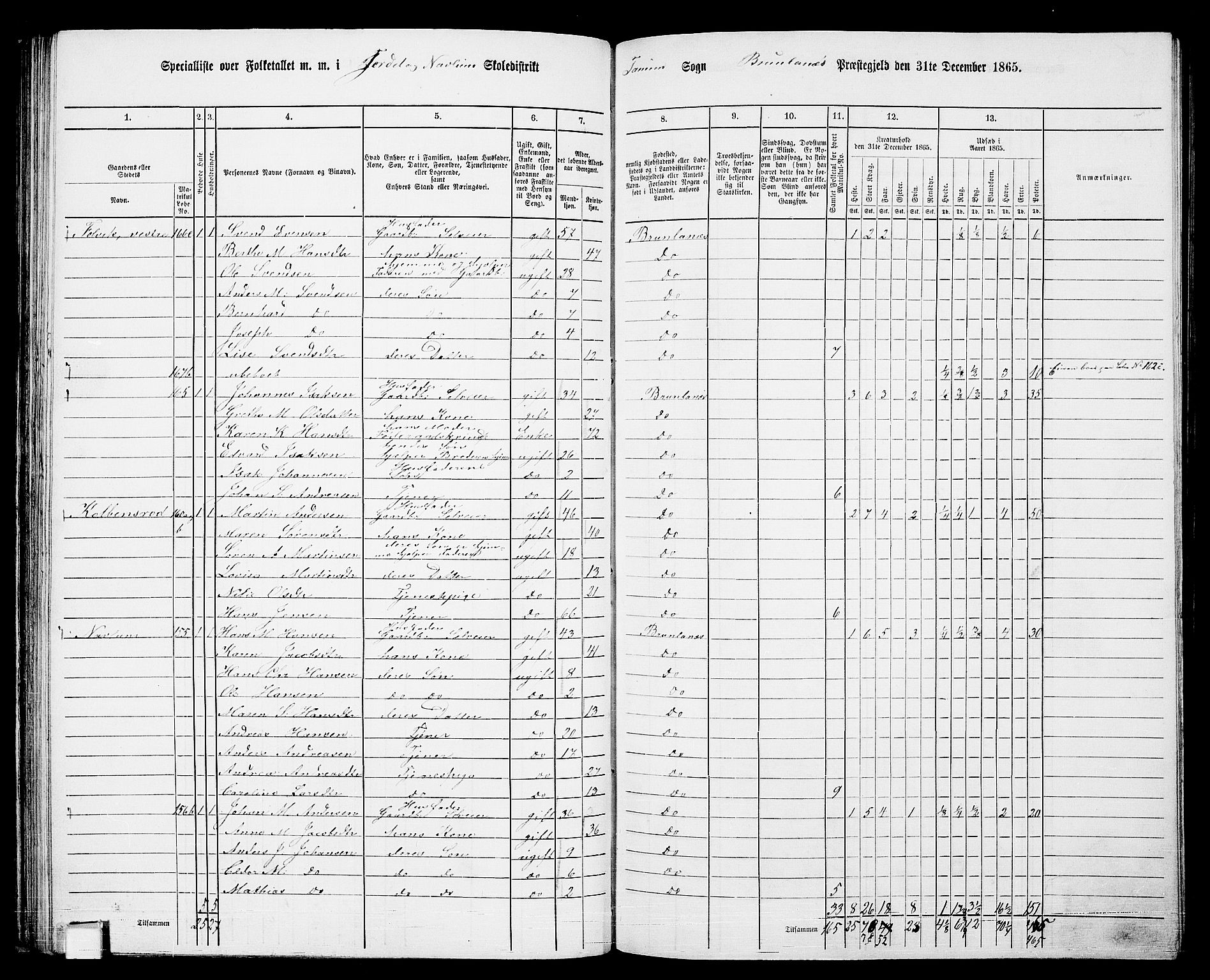 RA, 1865 census for Brunlanes, 1865, p. 74