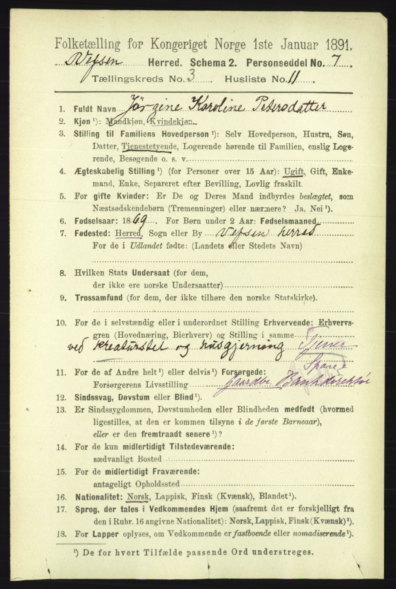 RA, 1891 census for 1824 Vefsn, 1891, p. 1349