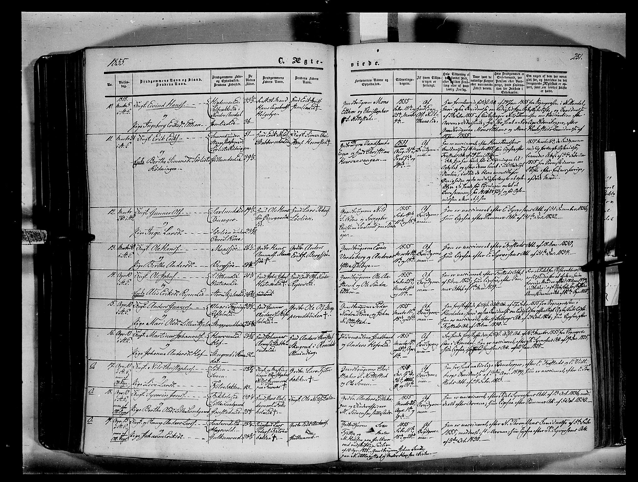 Stange prestekontor, SAH/PREST-002/K/L0012: Parish register (official) no. 12, 1852-1862, p. 251