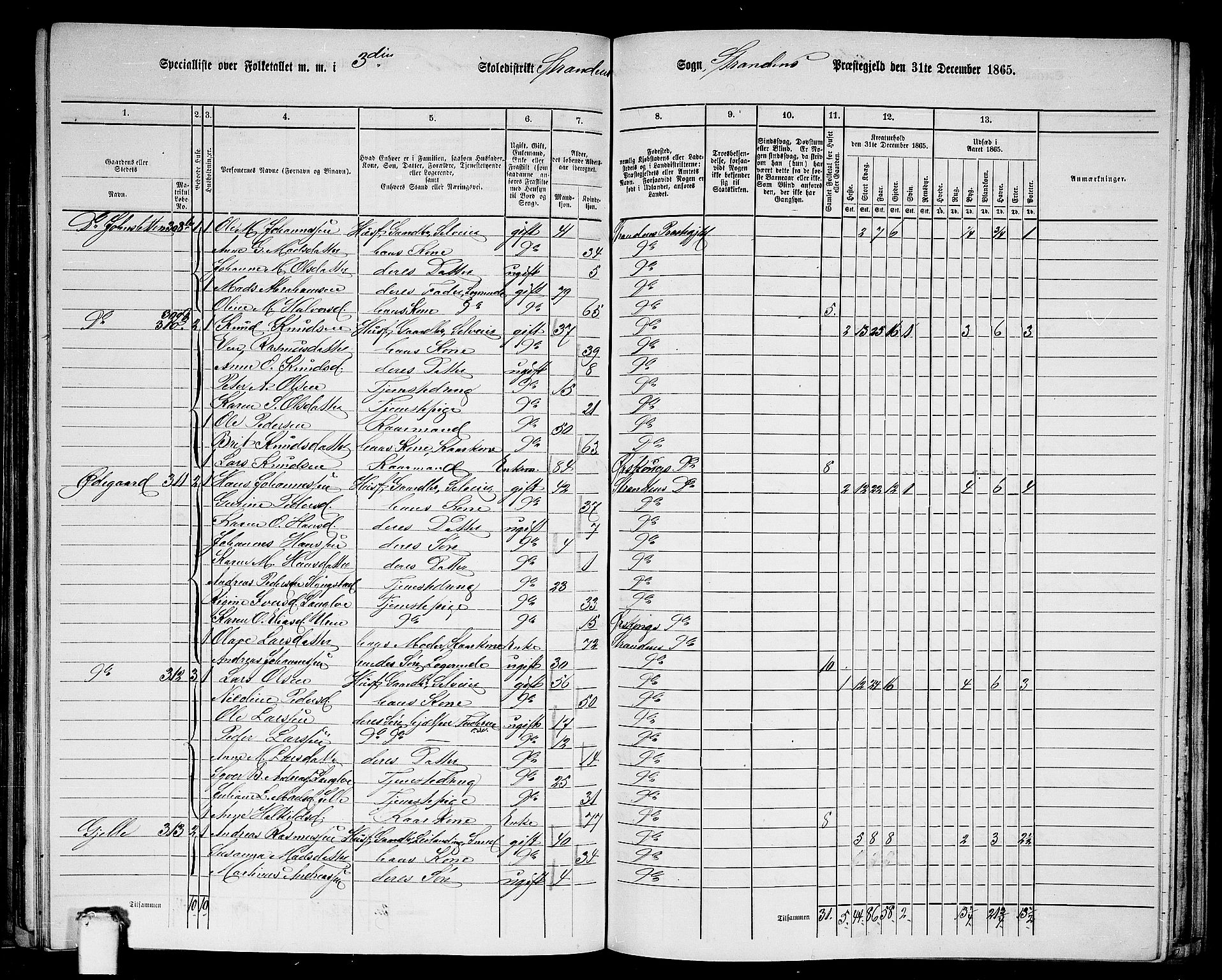 RA, 1865 census for Stranda, 1865, p. 46