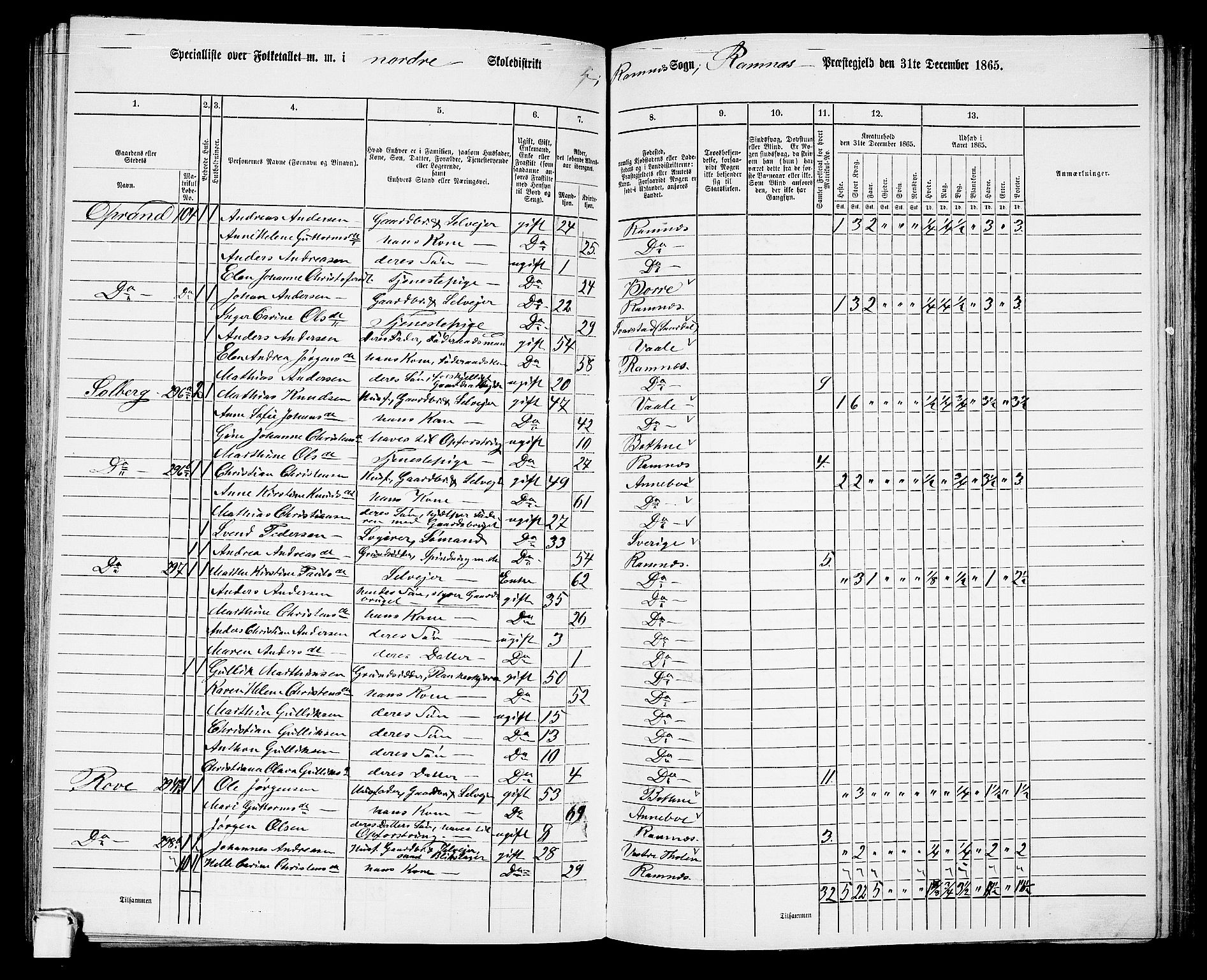 RA, 1865 census for Ramnes, 1865, p. 65