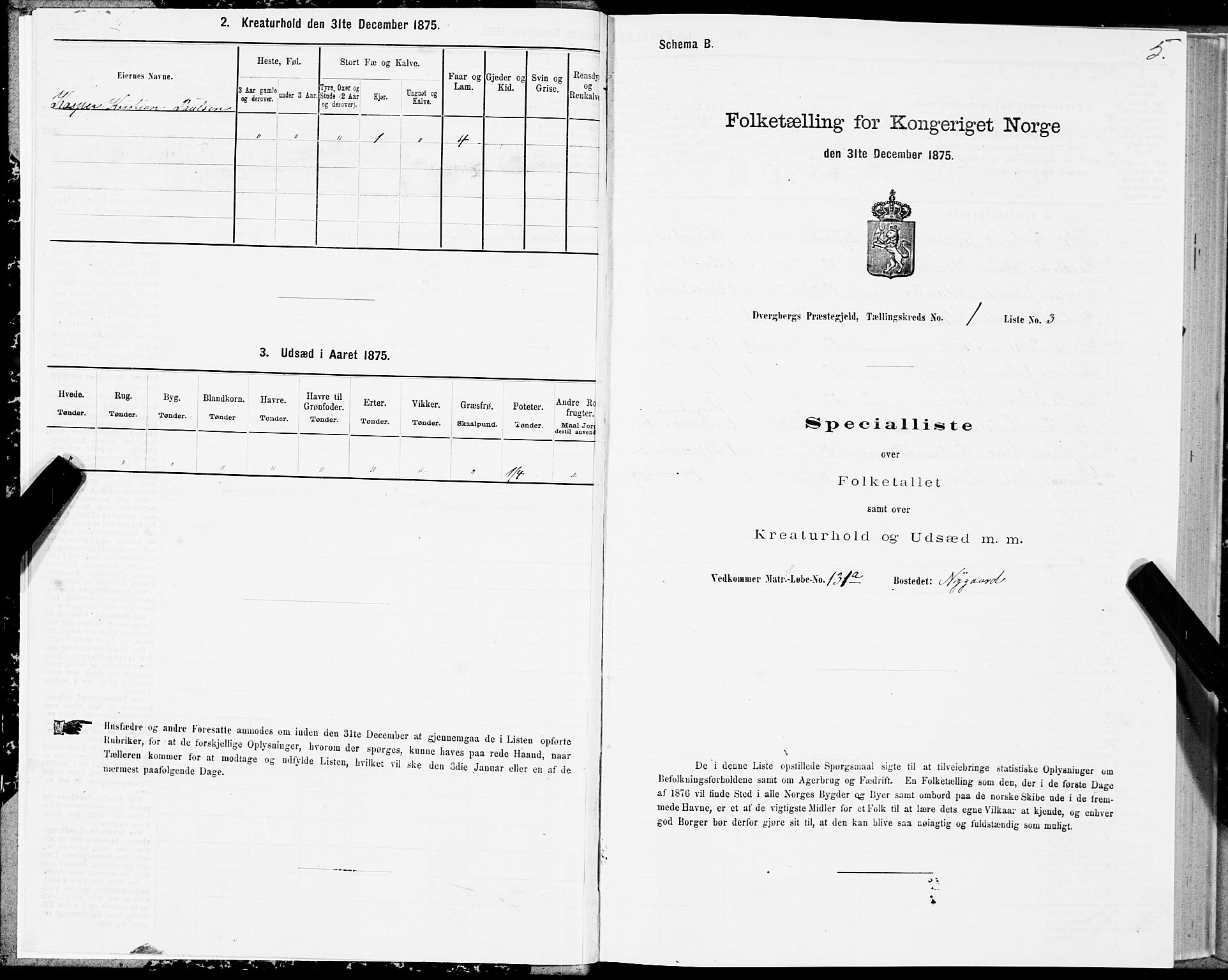 SAT, 1875 census for 1872P Dverberg, 1875, p. 1005