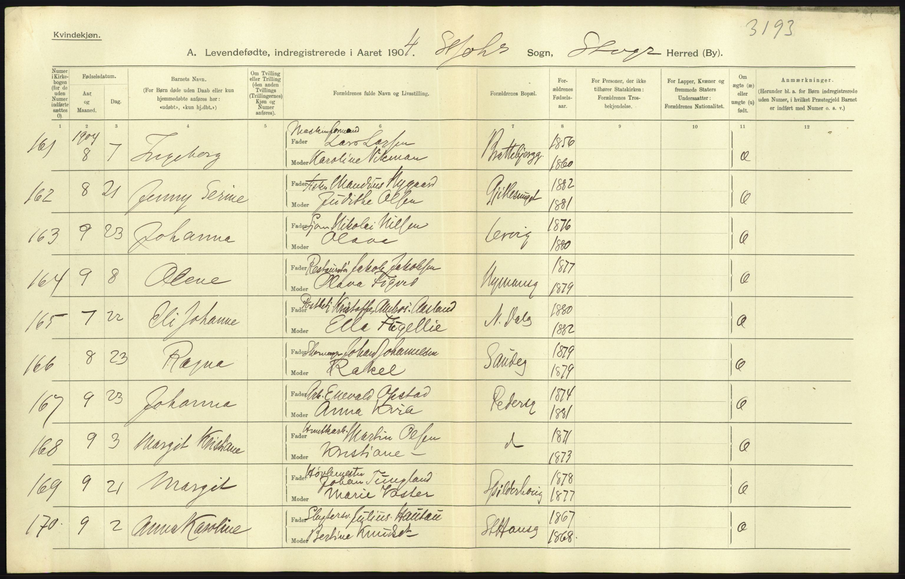 Statistisk sentralbyrå, Sosiodemografiske emner, Befolkning, AV/RA-S-2228/D/Df/Dfa/Dfab/L0012: Stavanger amt: Fødte, gifte, døde, 1904, p. 55