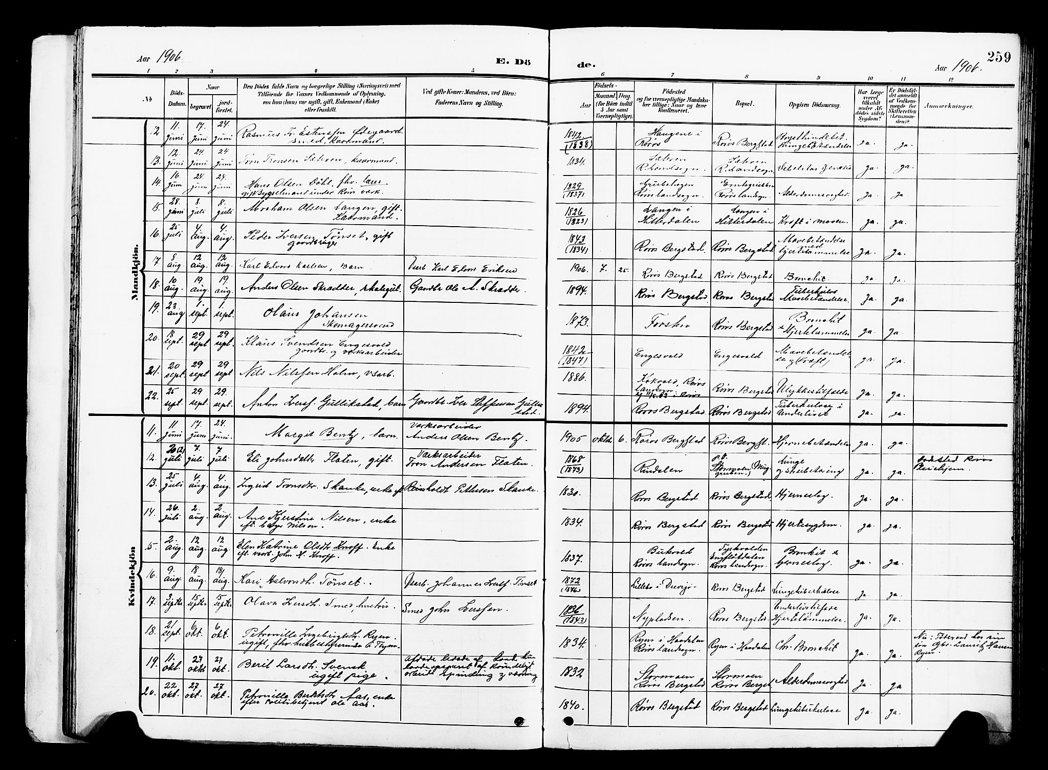 Ministerialprotokoller, klokkerbøker og fødselsregistre - Sør-Trøndelag, SAT/A-1456/681/L0942: Parish register (copy) no. 681C06, 1906-1925, p. 259