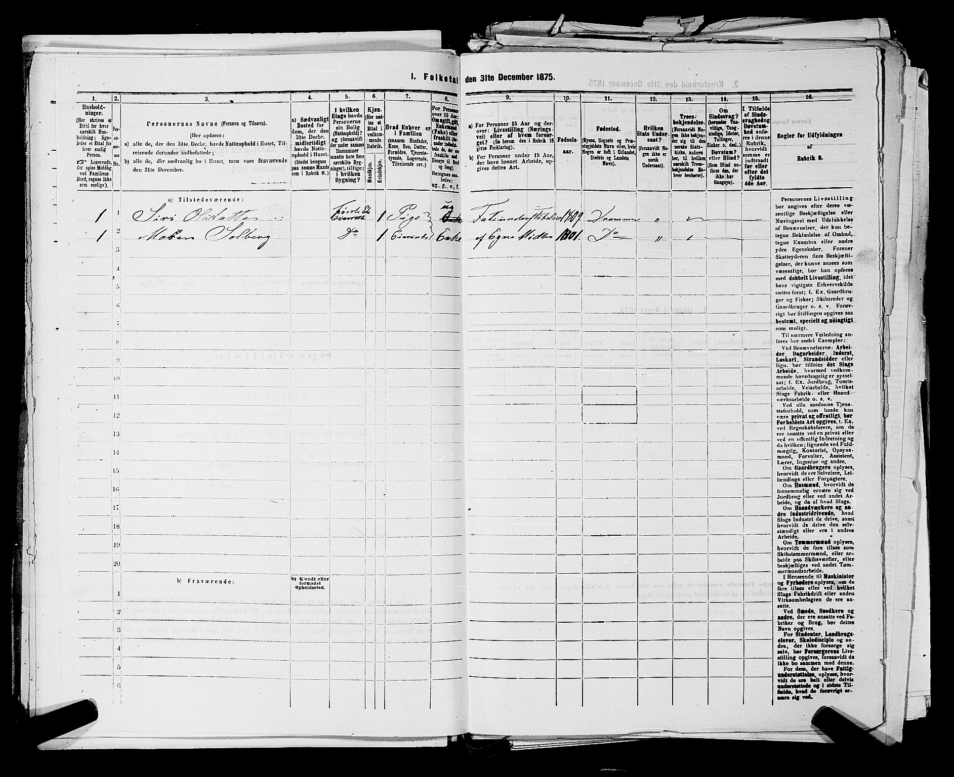 SAKO, 1875 census for 0602 Drammen, 1875, p. 2719