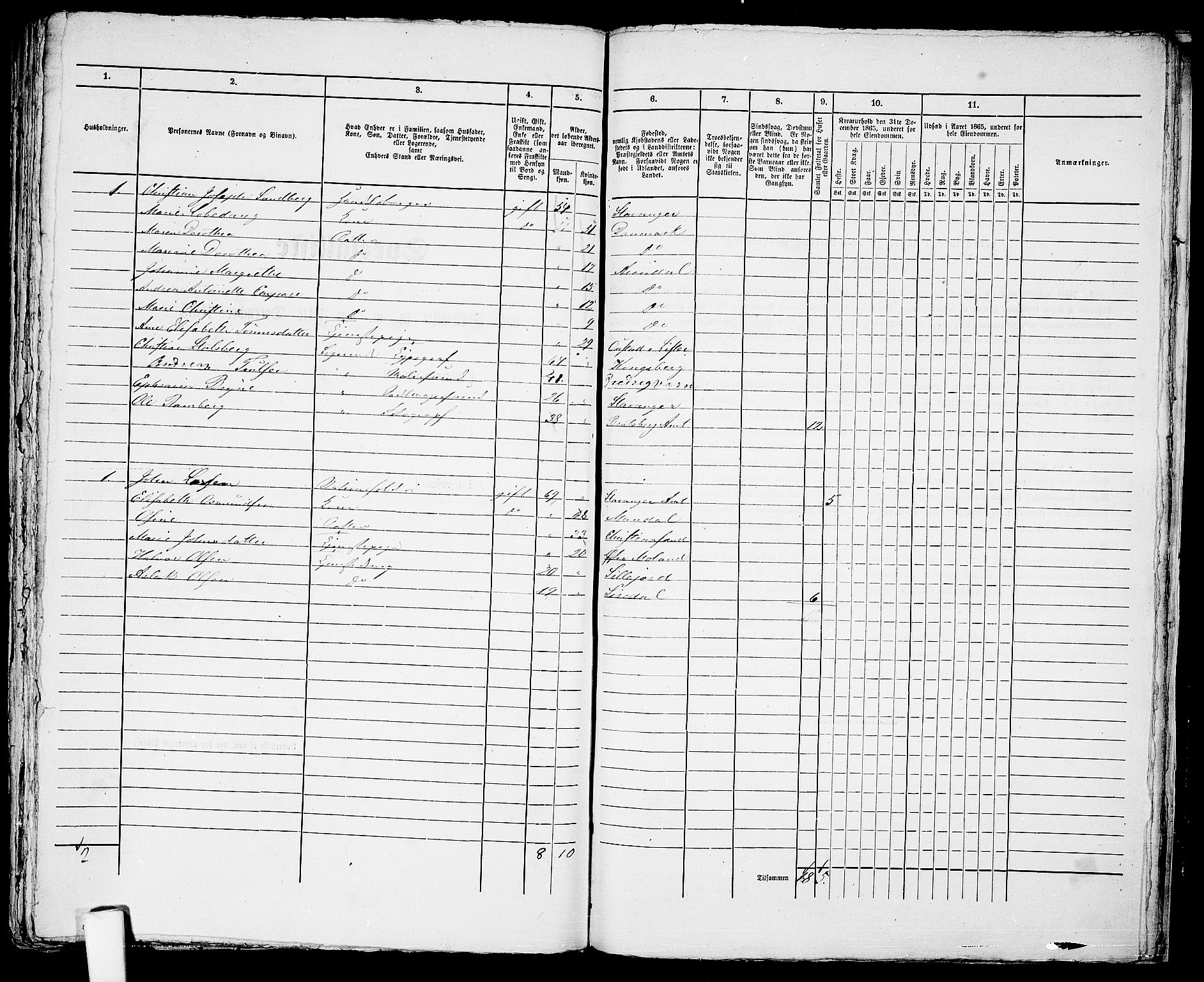 RA, 1865 census for Arendal, 1865, p. 324