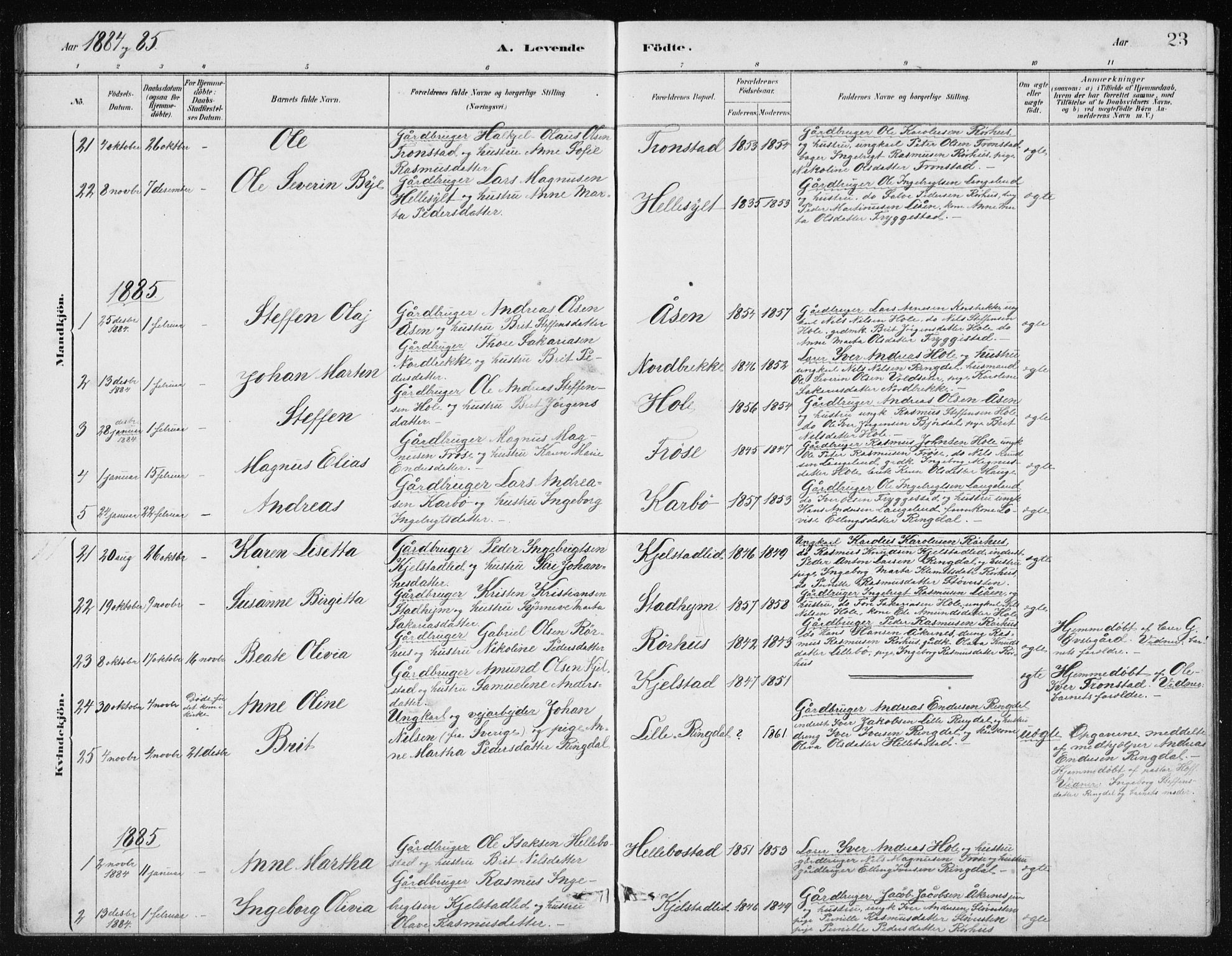 Ministerialprotokoller, klokkerbøker og fødselsregistre - Møre og Romsdal, SAT/A-1454/517/L0230: Parish register (copy) no. 517C03, 1879-1912, p. 23