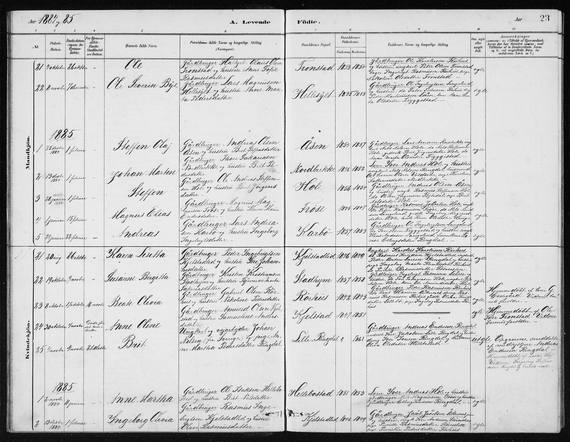 Ministerialprotokoller, klokkerbøker og fødselsregistre - Møre og Romsdal, AV/SAT-A-1454/517/L0230: Parish register (copy) no. 517C03, 1879-1912, p. 23