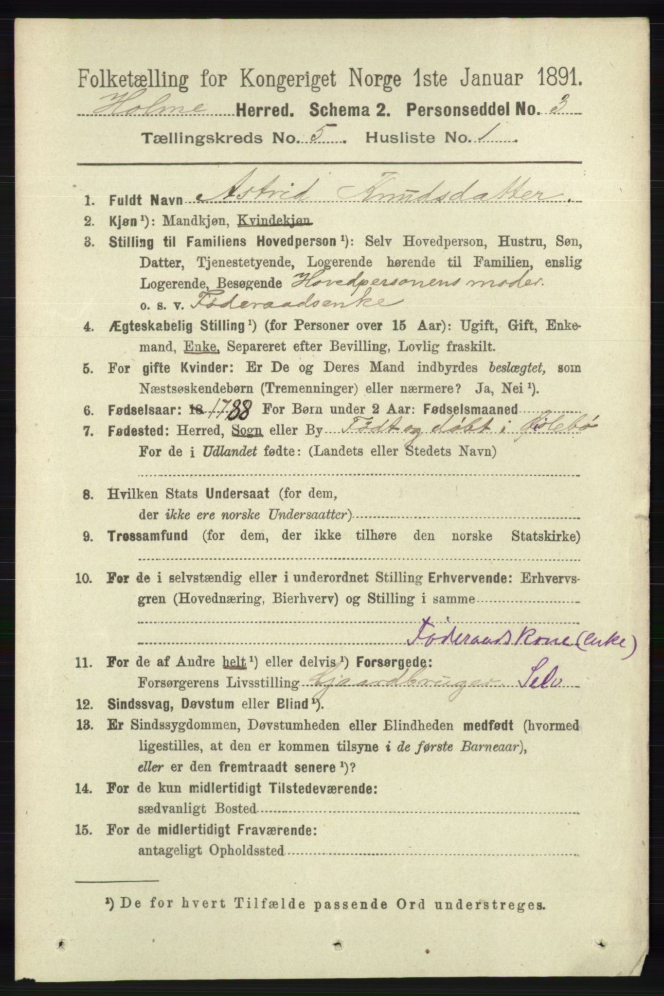 RA, 1891 census for 1020 Holum, 1891, p. 1238