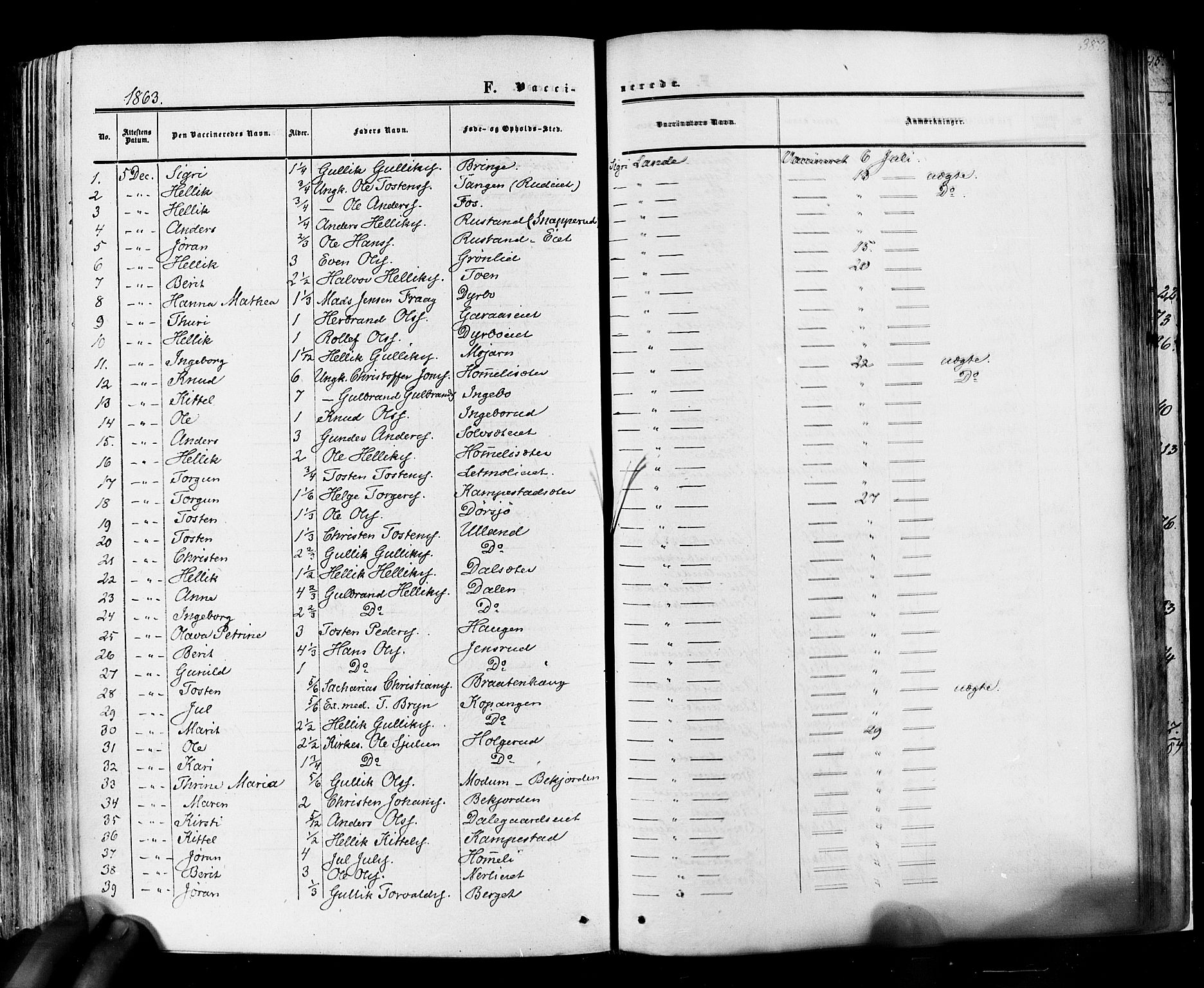 Flesberg kirkebøker, SAKO/A-18/F/Fa/L0007: Parish register (official) no. I 7, 1861-1878, p. 387