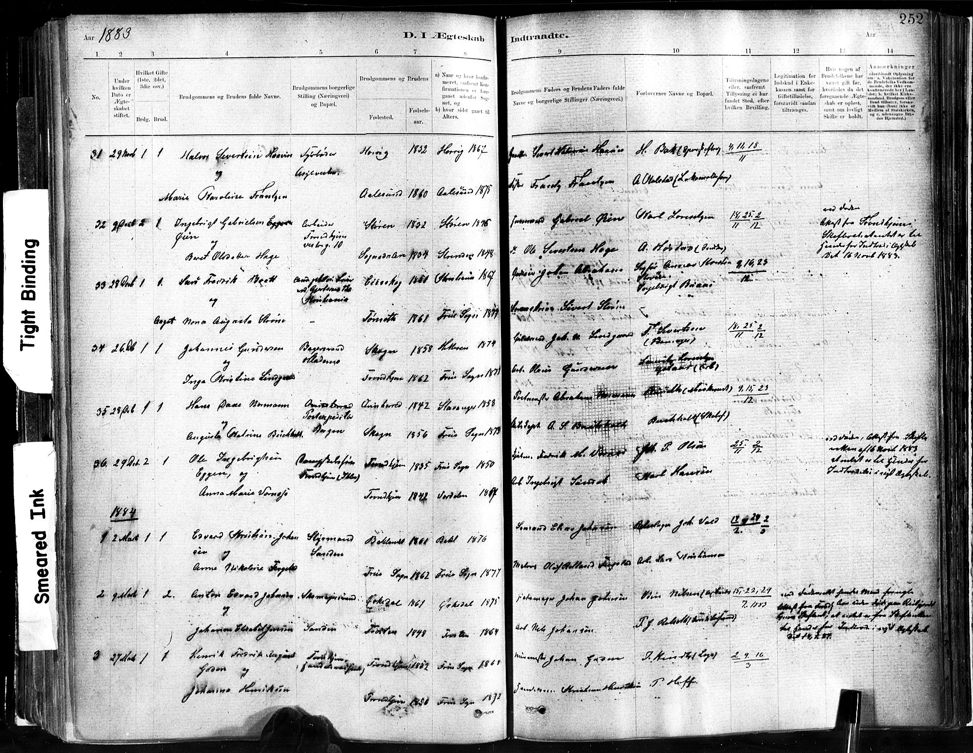 Ministerialprotokoller, klokkerbøker og fødselsregistre - Sør-Trøndelag, SAT/A-1456/602/L0119: Parish register (official) no. 602A17, 1880-1901, p. 252