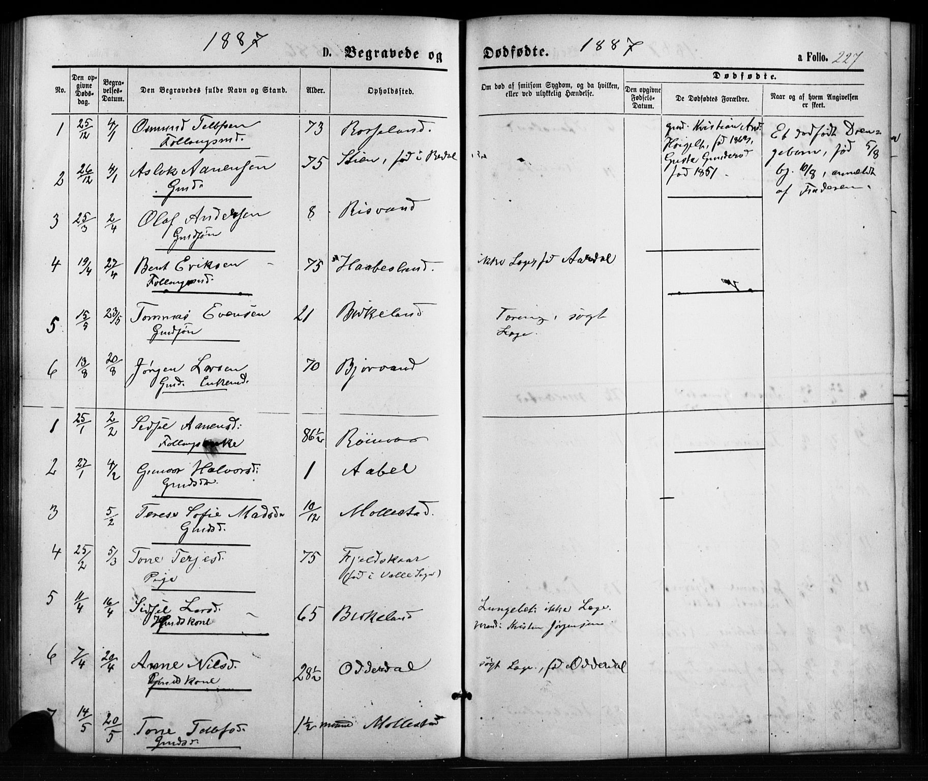 Birkenes sokneprestkontor, SAK/1111-0004/F/Fb/L0003: Parish register (copy) no. B 3, 1876-1892, p. 227