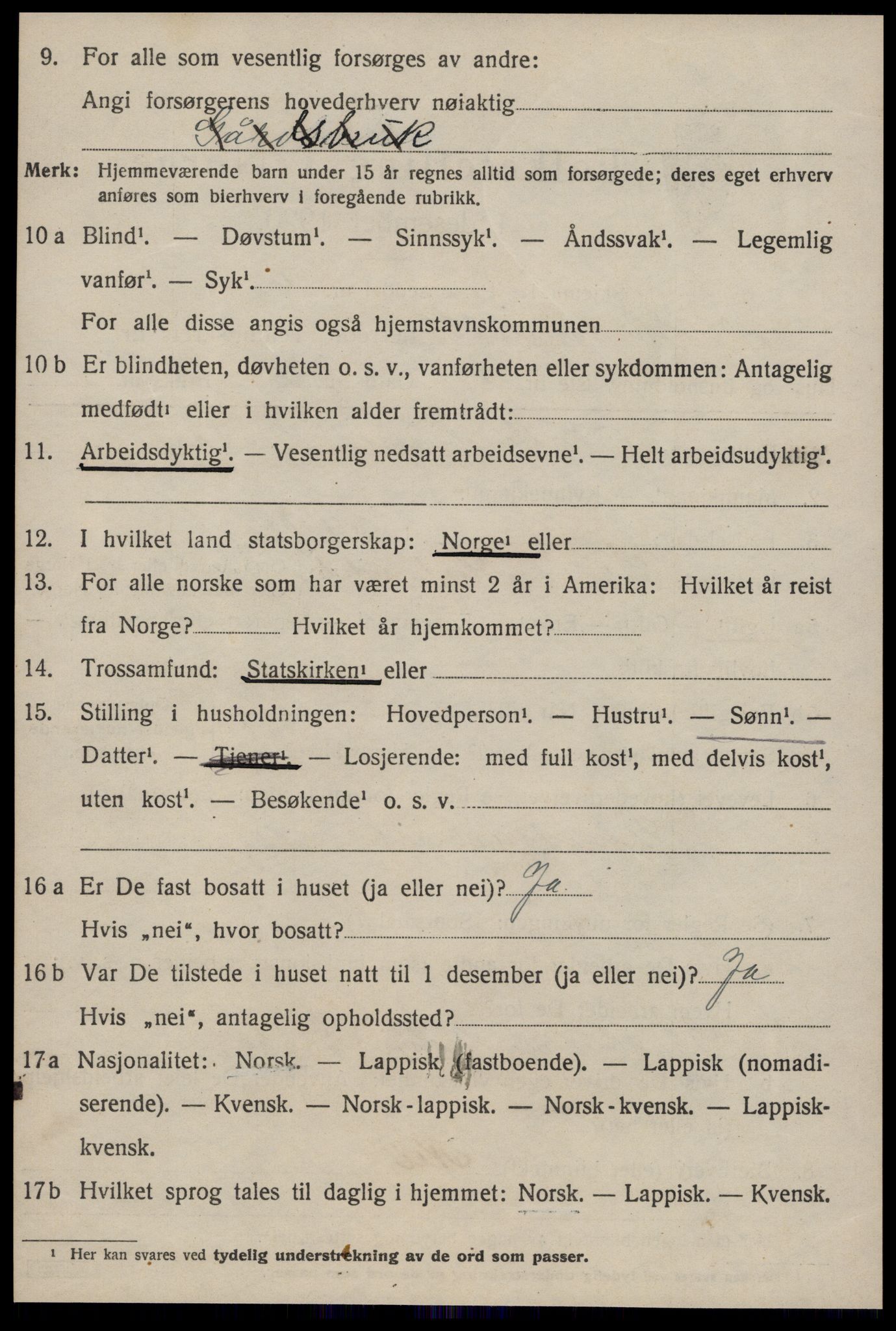 SAT, 1920 census for Hølonda, 1920, p. 414