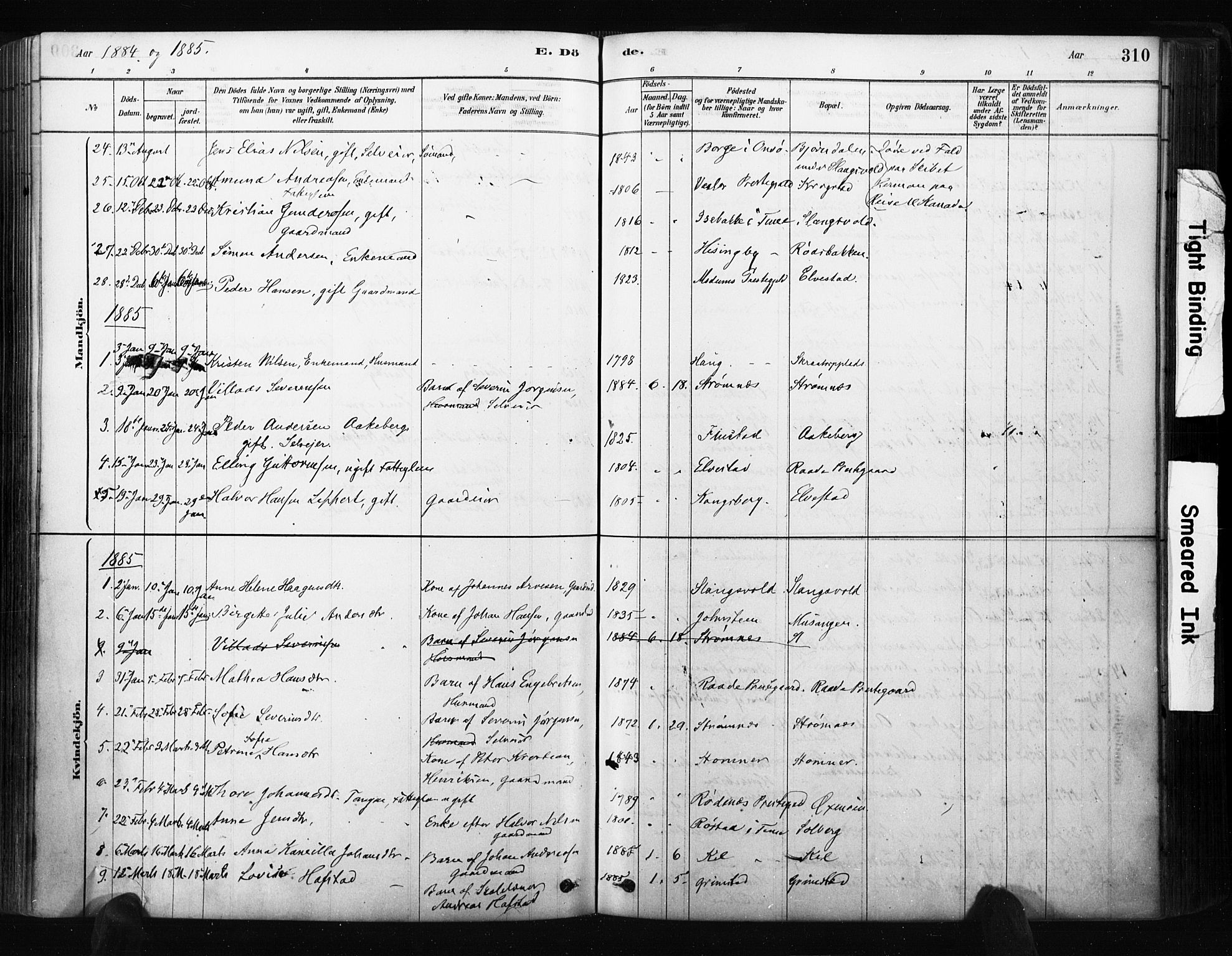 Råde prestekontor kirkebøker, AV/SAO-A-2009/F/Fa/L0007: Parish register (official) no. 7, 1878-1902, p. 310