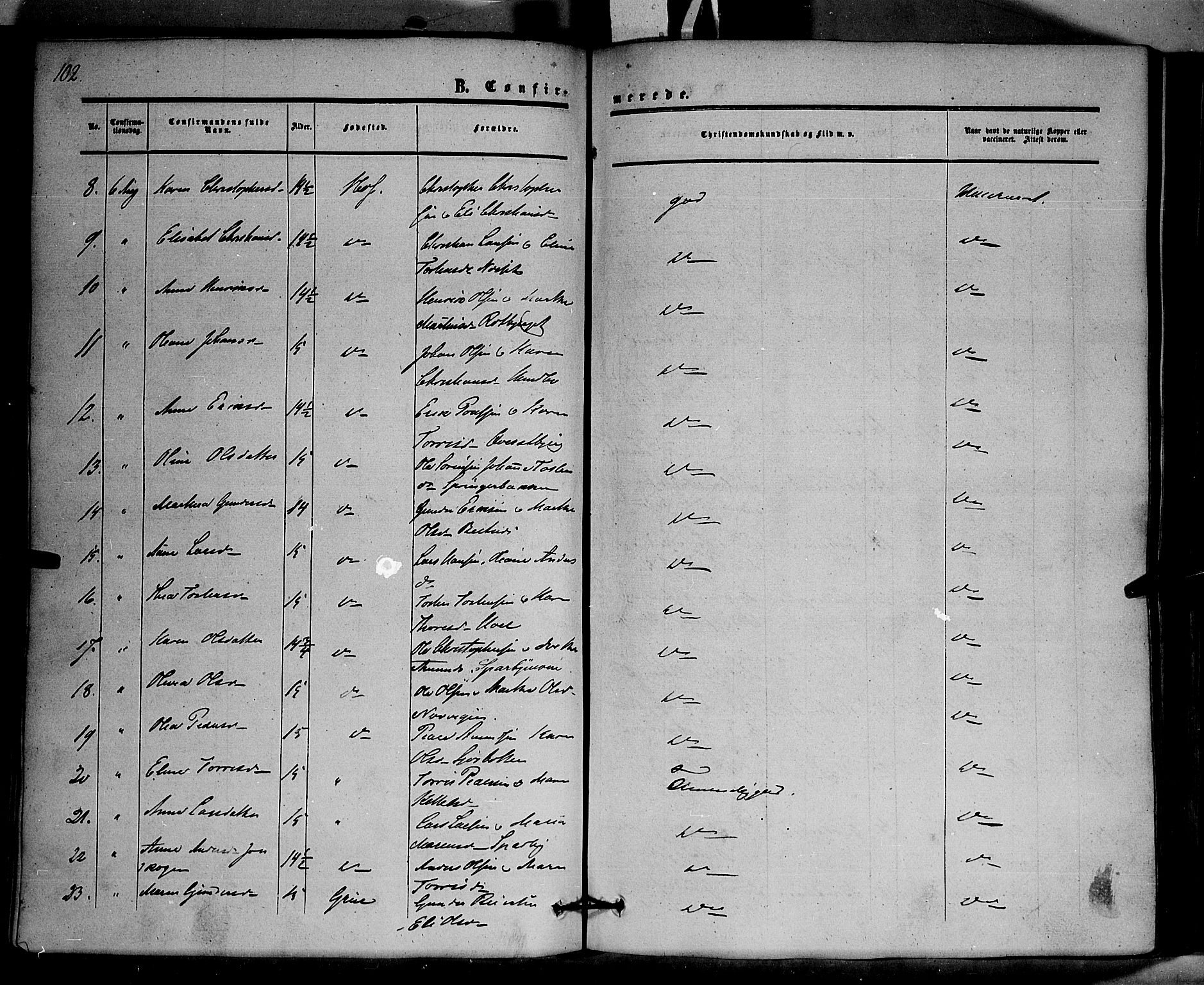 Hof prestekontor, SAH/PREST-038/H/Ha/Haa/L0008: Parish register (official) no. 8, 1849-1861, p. 102