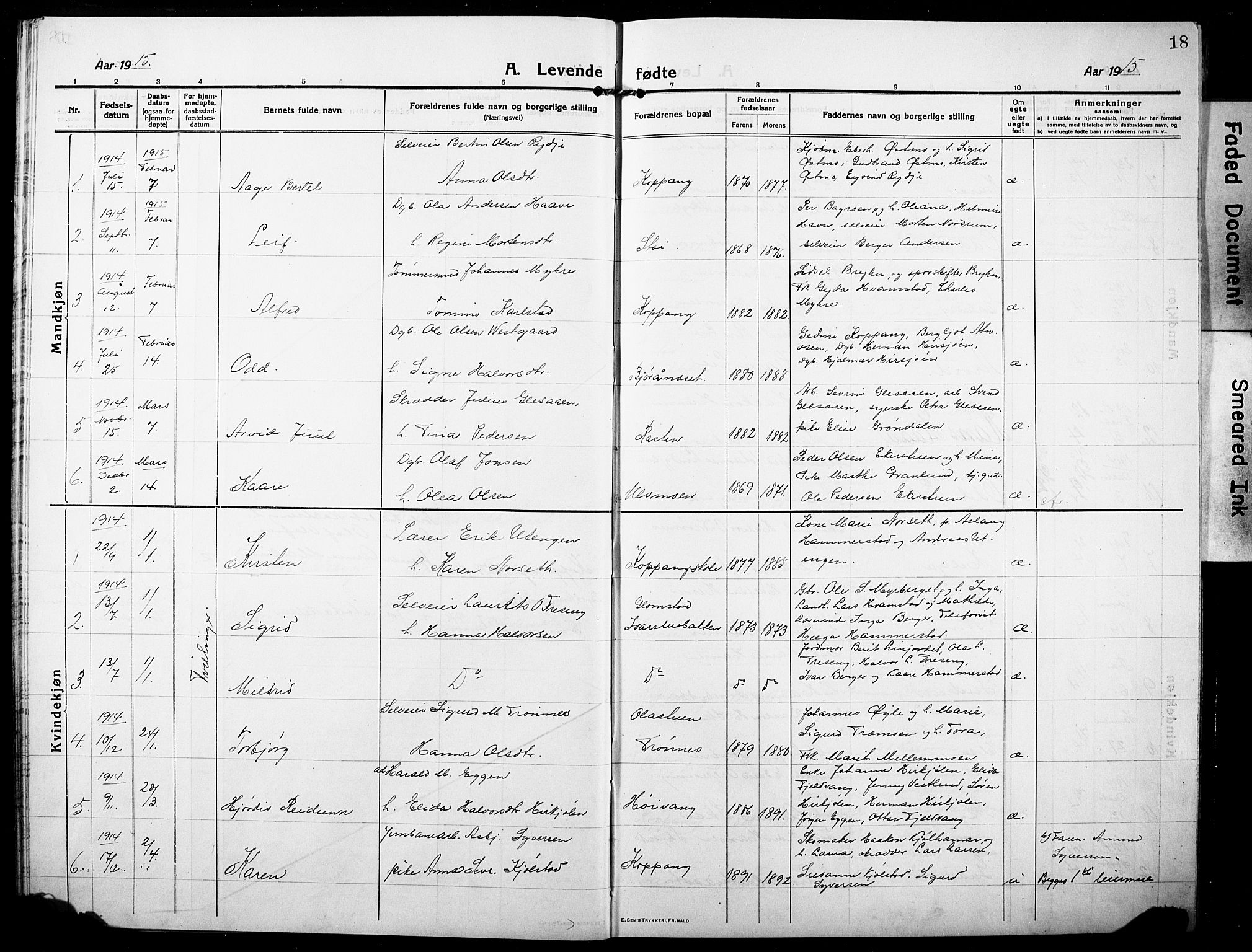 Stor-Elvdal prestekontor, SAH/PREST-052/H/Ha/Hab/L0005: Parish register (copy) no. 5, 1913-1932, p. 18