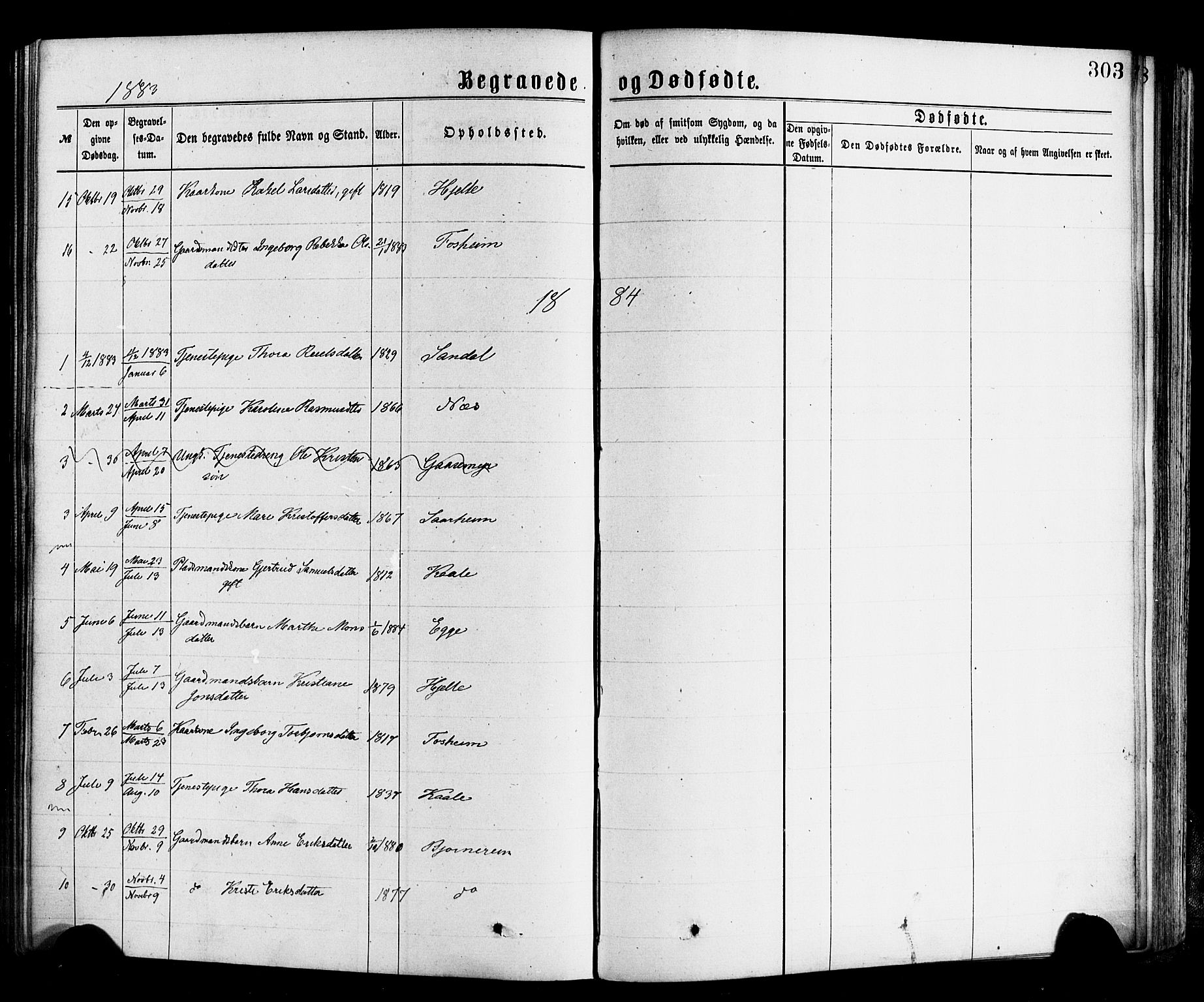 Gloppen sokneprestembete, SAB/A-80101/H/Haa/Haac/L0001: Parish register (official) no. C 1, 1871-1886, p. 303