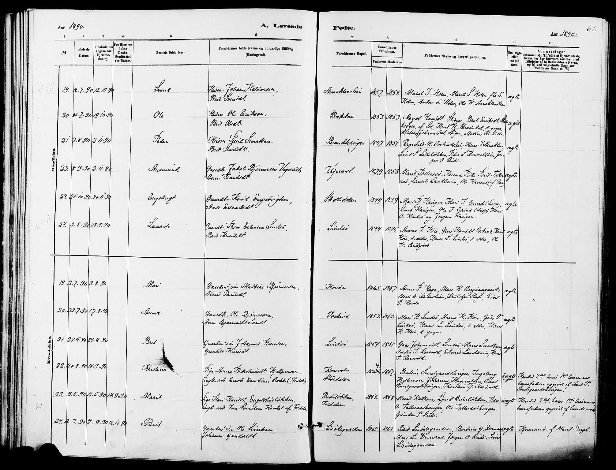 Dovre prestekontor, AV/SAH-PREST-066/H/Ha/Haa/L0002: Parish register (official) no. 2, 1879-1890, p. 61