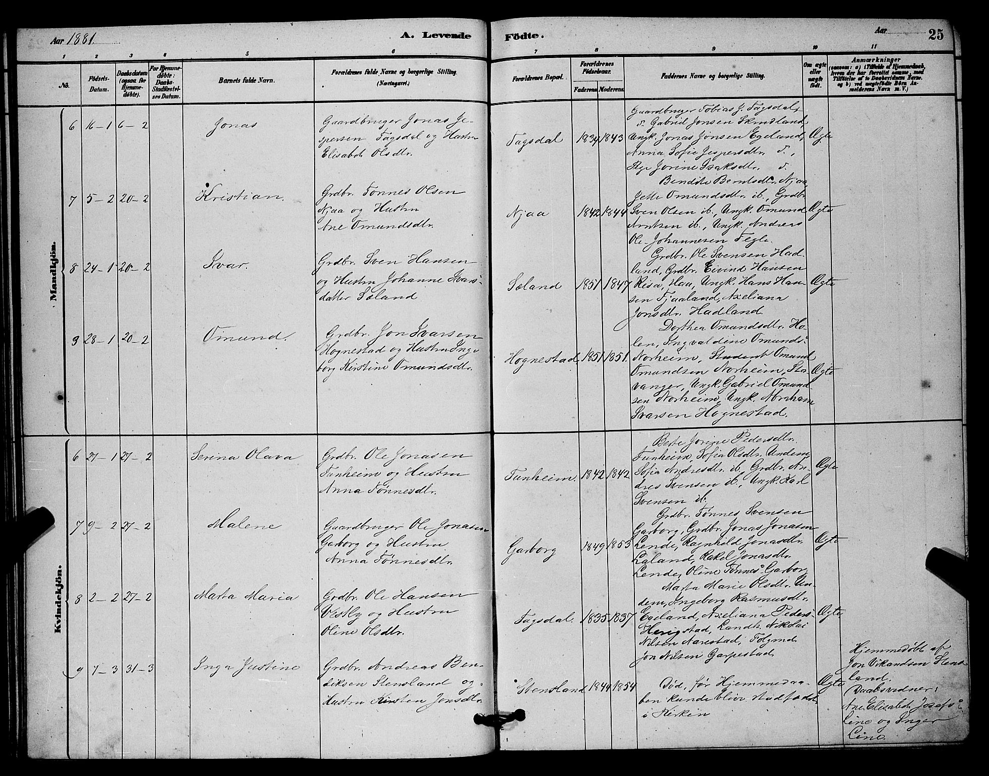 Lye sokneprestkontor, AV/SAST-A-101794/001/30BB/L0006: Parish register (copy) no. B 6, 1879-1888, p. 25