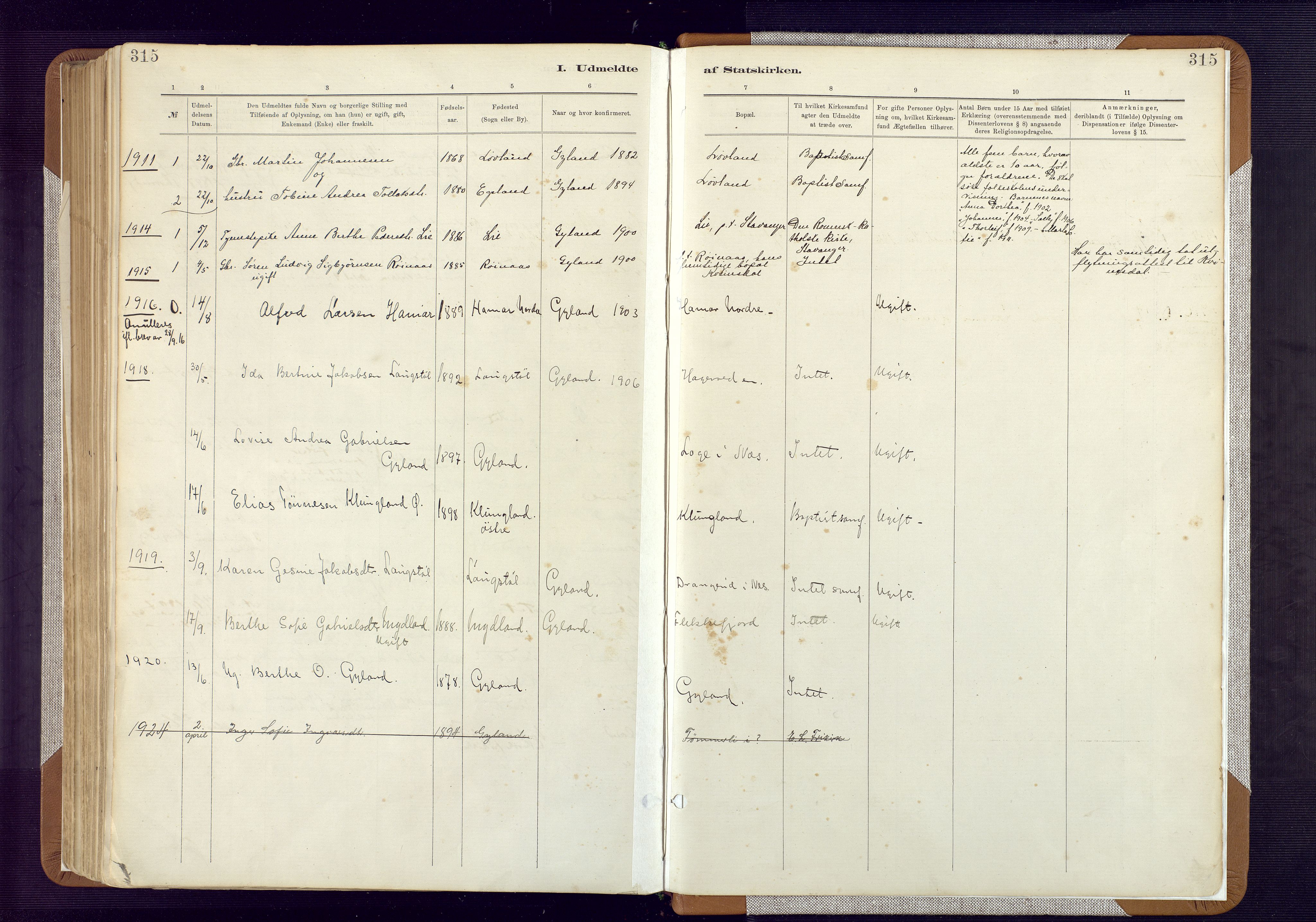 Bakke sokneprestkontor, SAK/1111-0002/F/Fa/Fab/L0003: Parish register (official) no. A 3, 1884-1921, p. 315