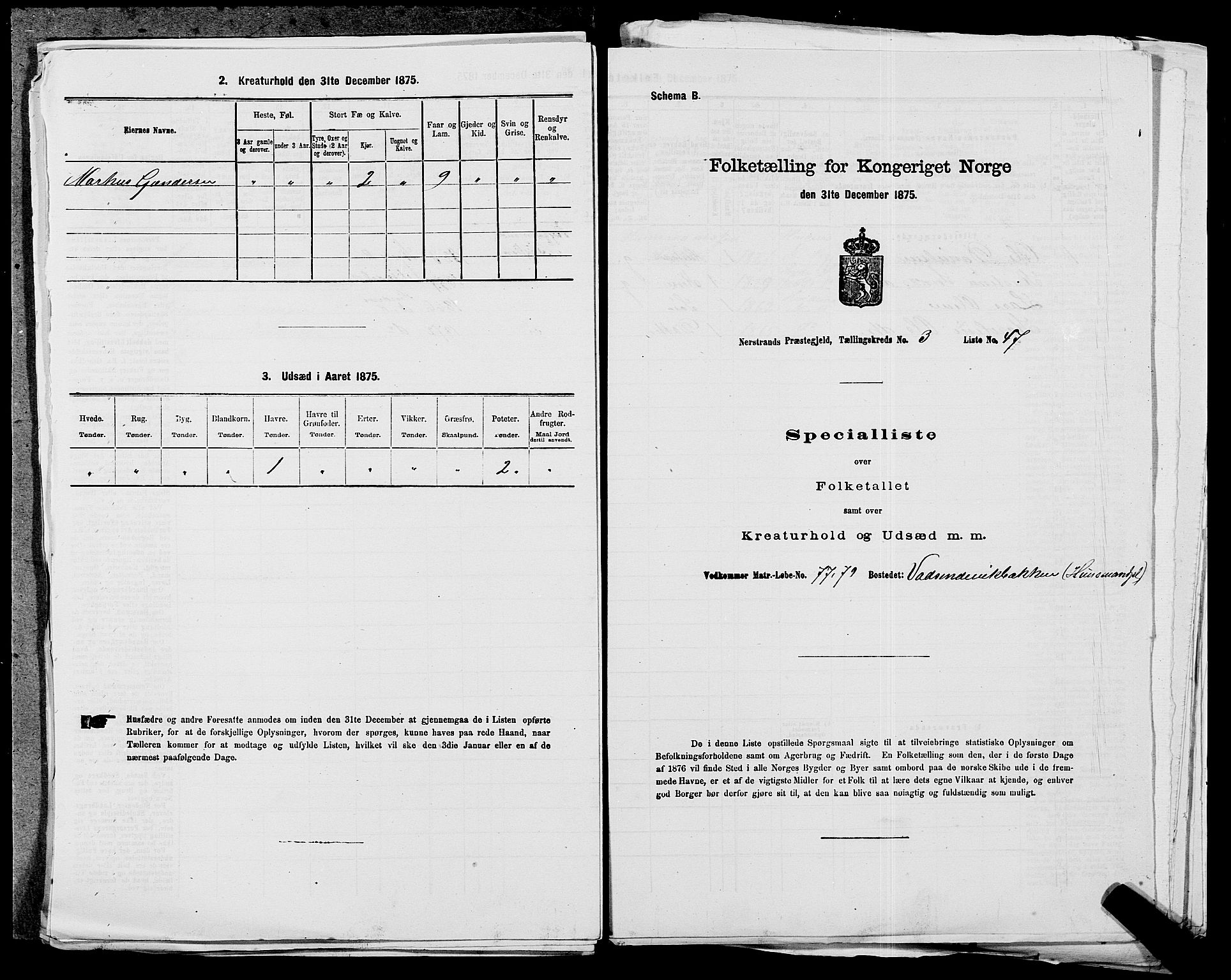 SAST, 1875 census for 1139P Nedstrand, 1875, p. 543