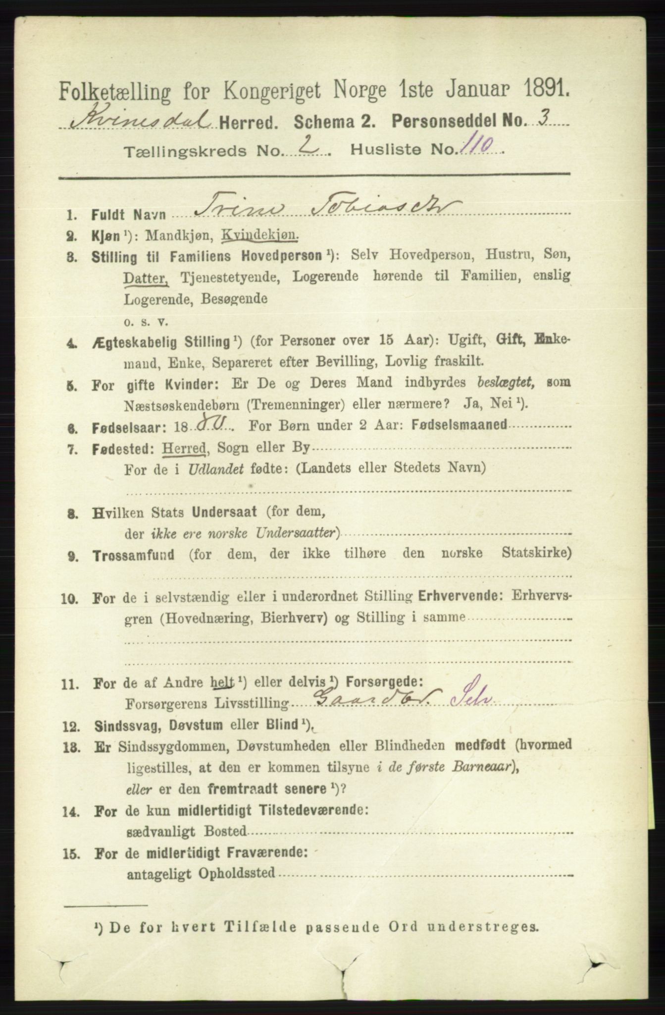 RA, 1891 census for 1037 Kvinesdal, 1891, p. 946