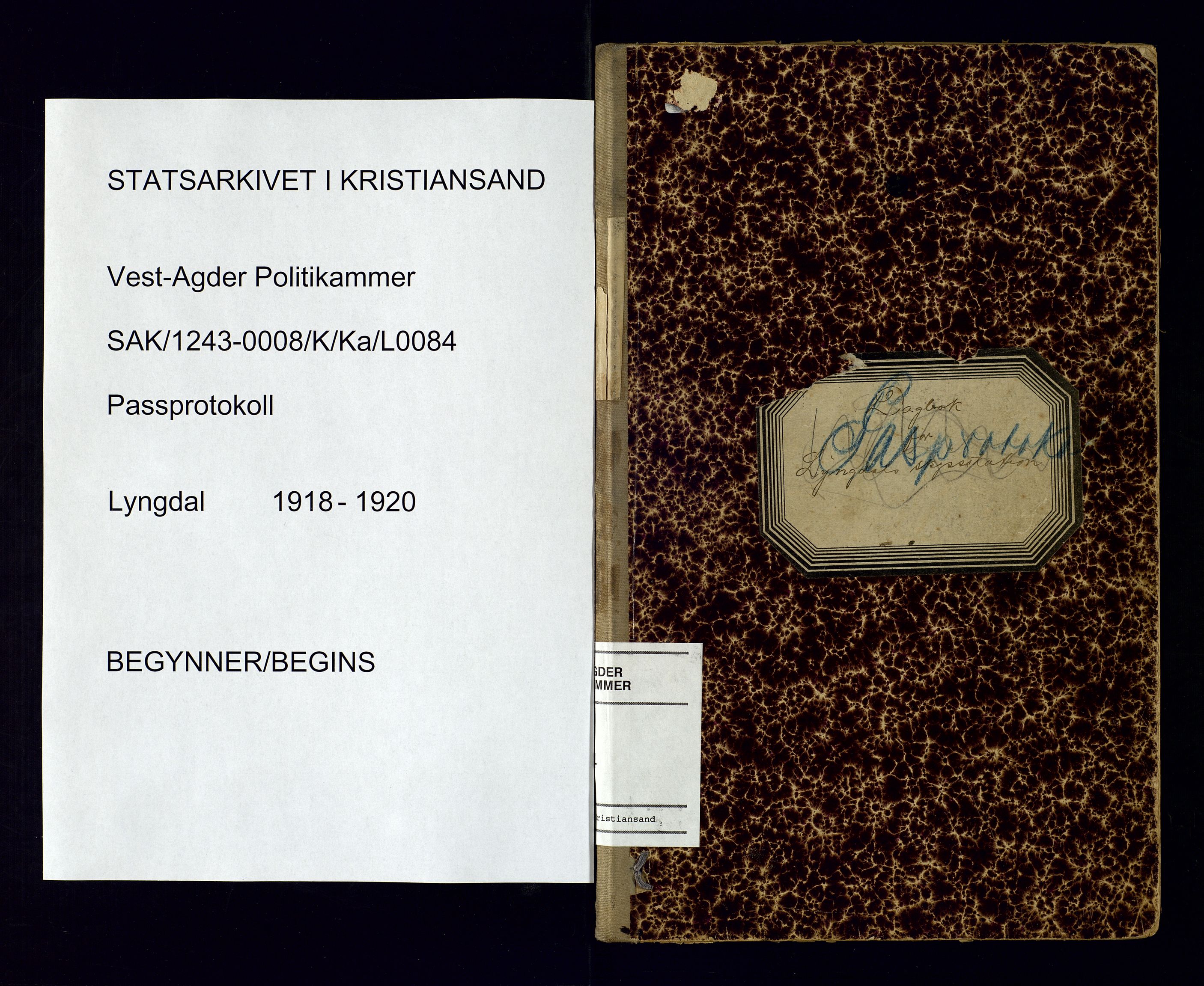 Vest-Agder politikammer, SAK/1243-0008/K/Ka/L0084: Passprotokoll, 1918-1920