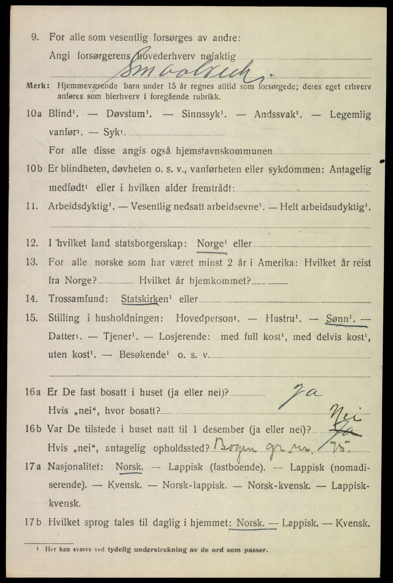 SAT, 1920 census for Tysfjord, 1920, p. 4032