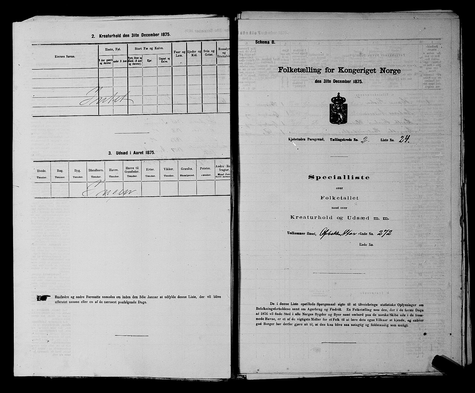 SAKO, 1875 census for 0805P Porsgrunn, 1875, p. 80