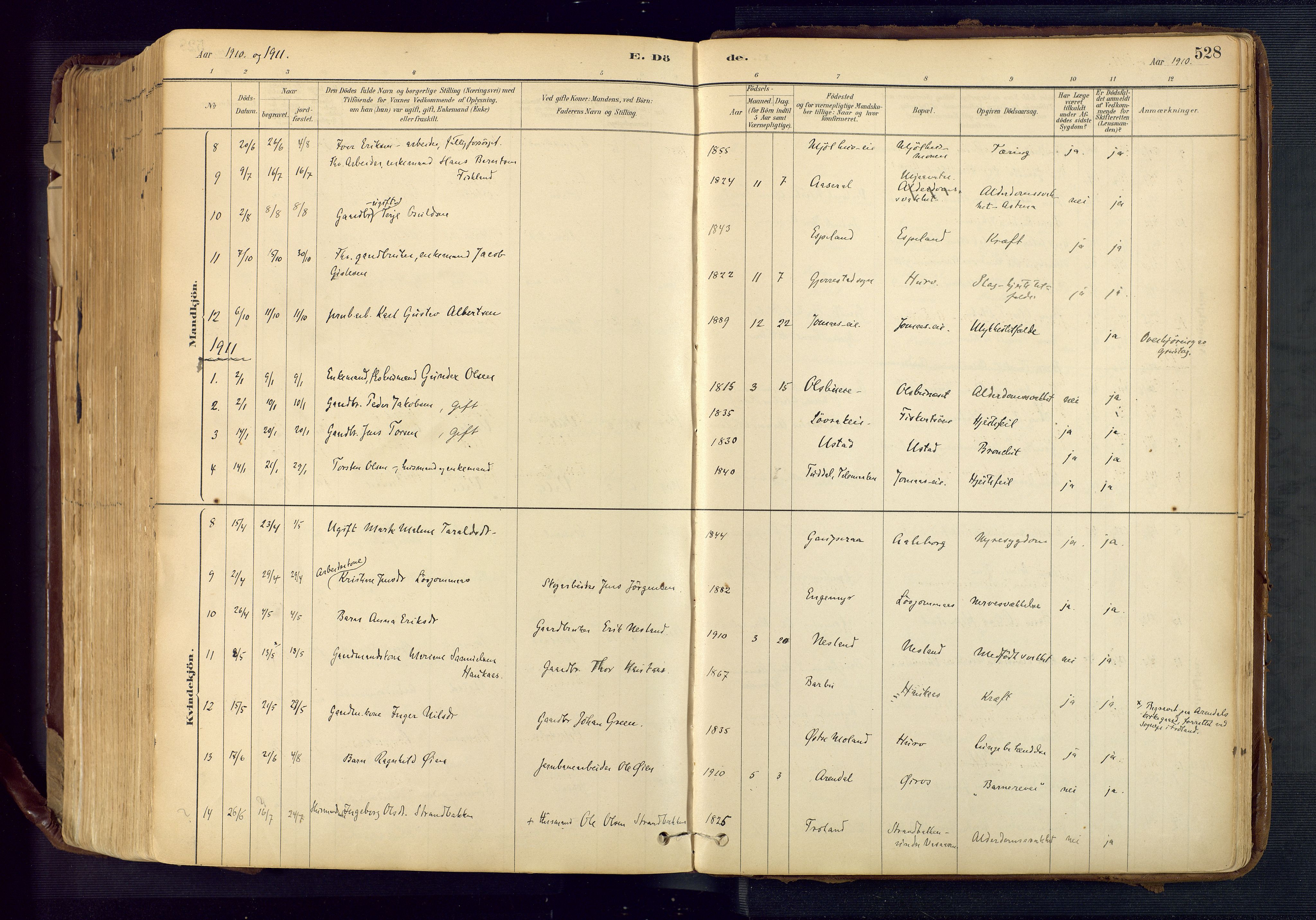 Froland sokneprestkontor, SAK/1111-0013/F/Fa/L0005: Parish register (official) no. A 5, 1882-1921, p. 528