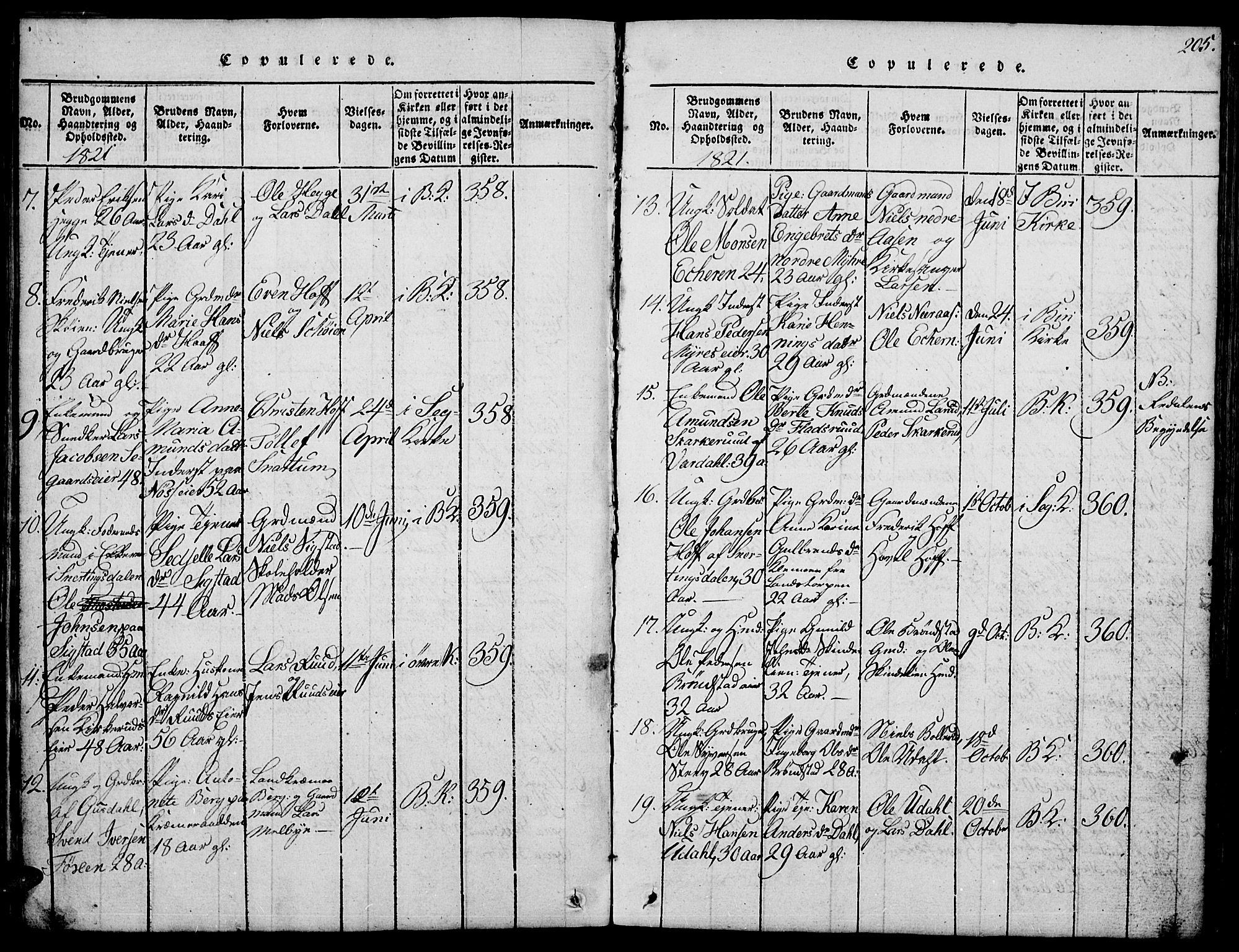 Biri prestekontor, SAH/PREST-096/H/Ha/Hab/L0001: Parish register (copy) no. 1, 1814-1828, p. 205
