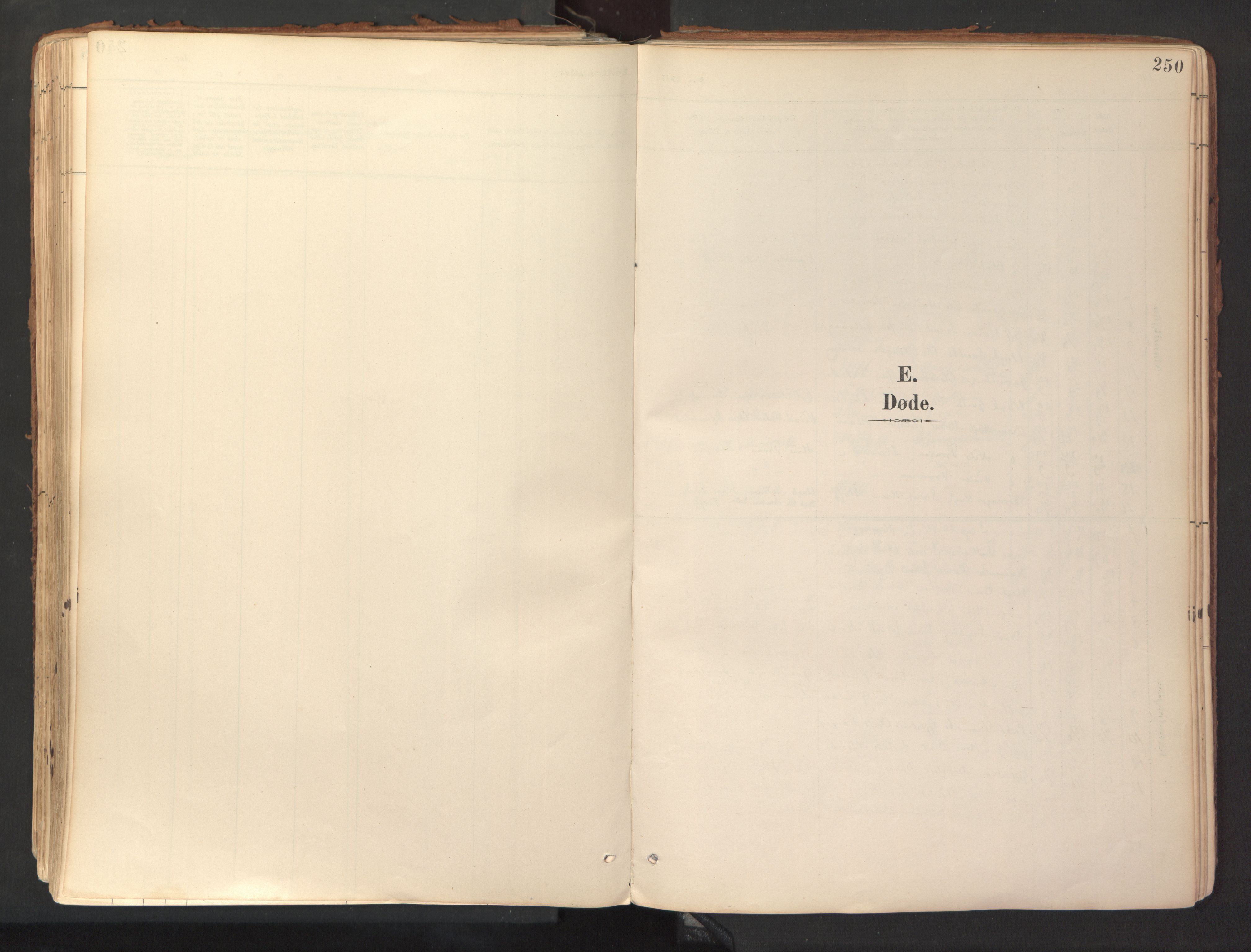 Ministerialprotokoller, klokkerbøker og fødselsregistre - Sør-Trøndelag, SAT/A-1456/689/L1041: Parish register (official) no. 689A06, 1891-1923, p. 250