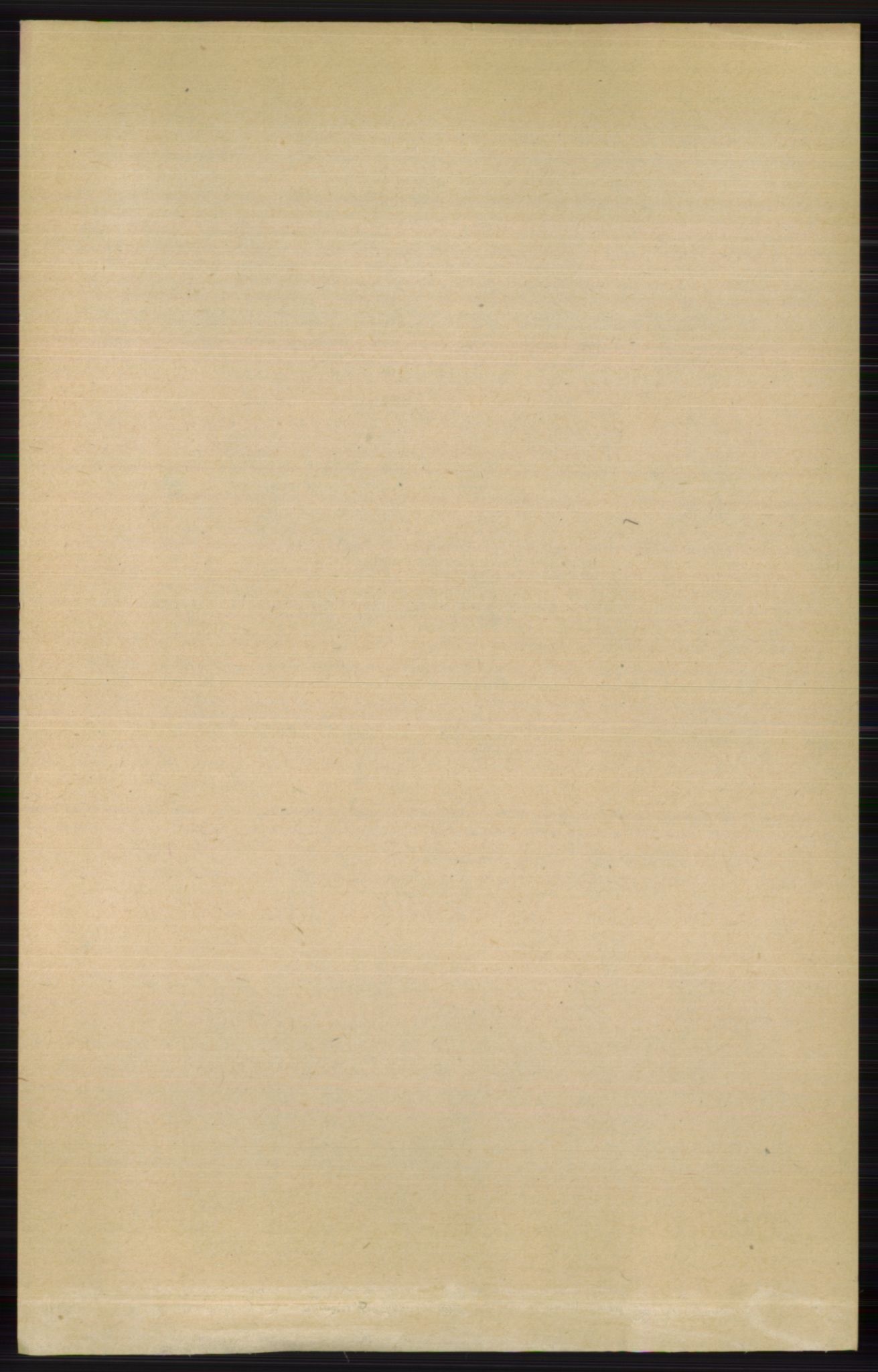 RA, 1891 census for 0815 Skåtøy, 1891, p. 4030
