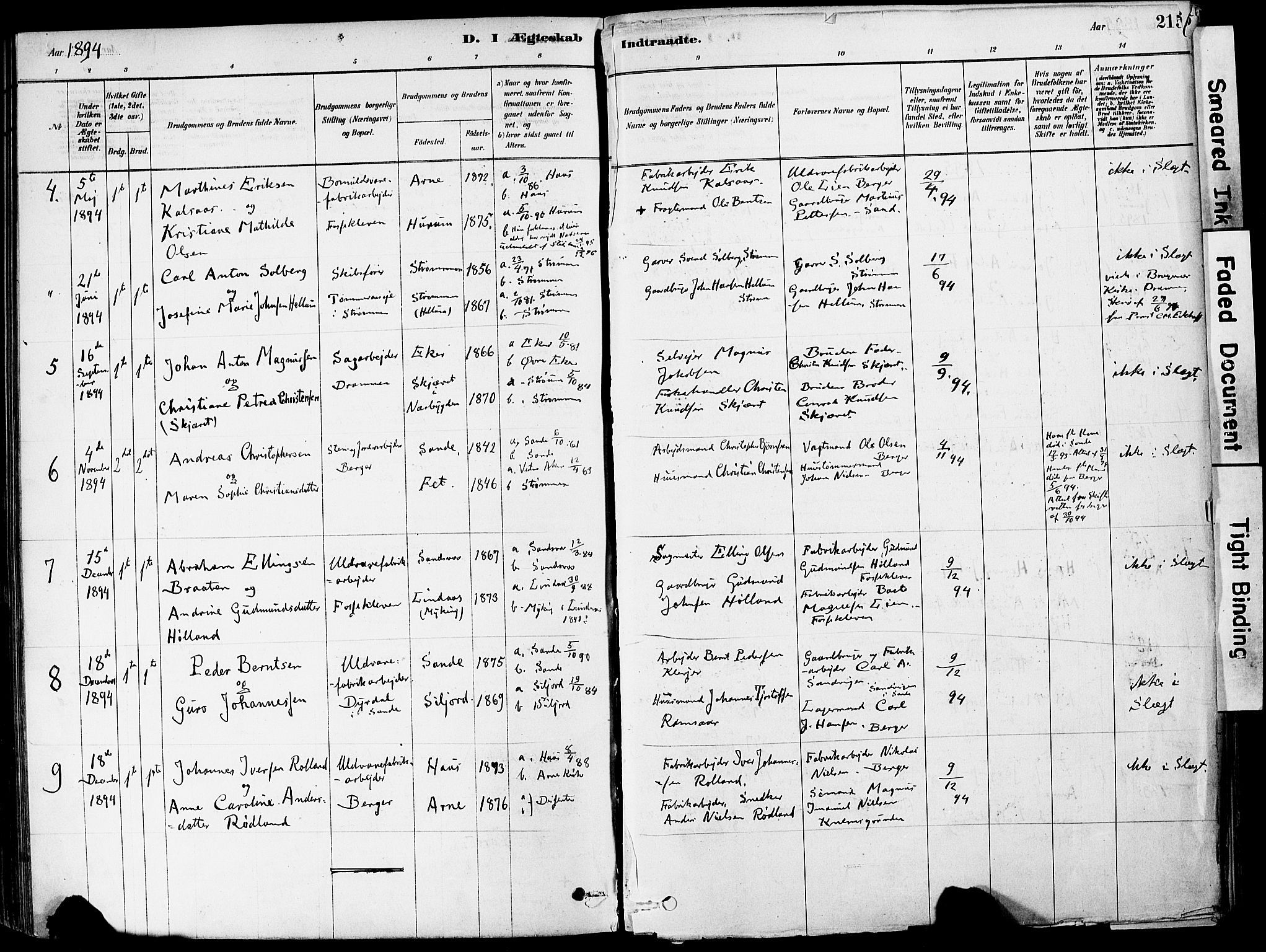 Strømm kirkebøker, AV/SAKO-A-322/F/Fa/L0004: Parish register (official) no. I 4, 1878-1899, p. 215