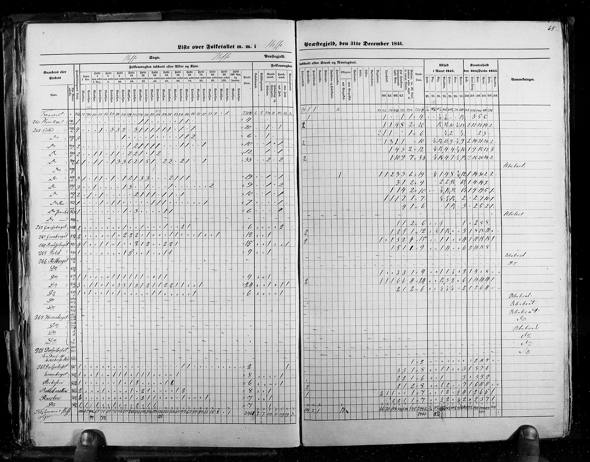 RA, Census 1845, vol. 3: Hedemarken amt og Kristians amt, 1845, p. 65