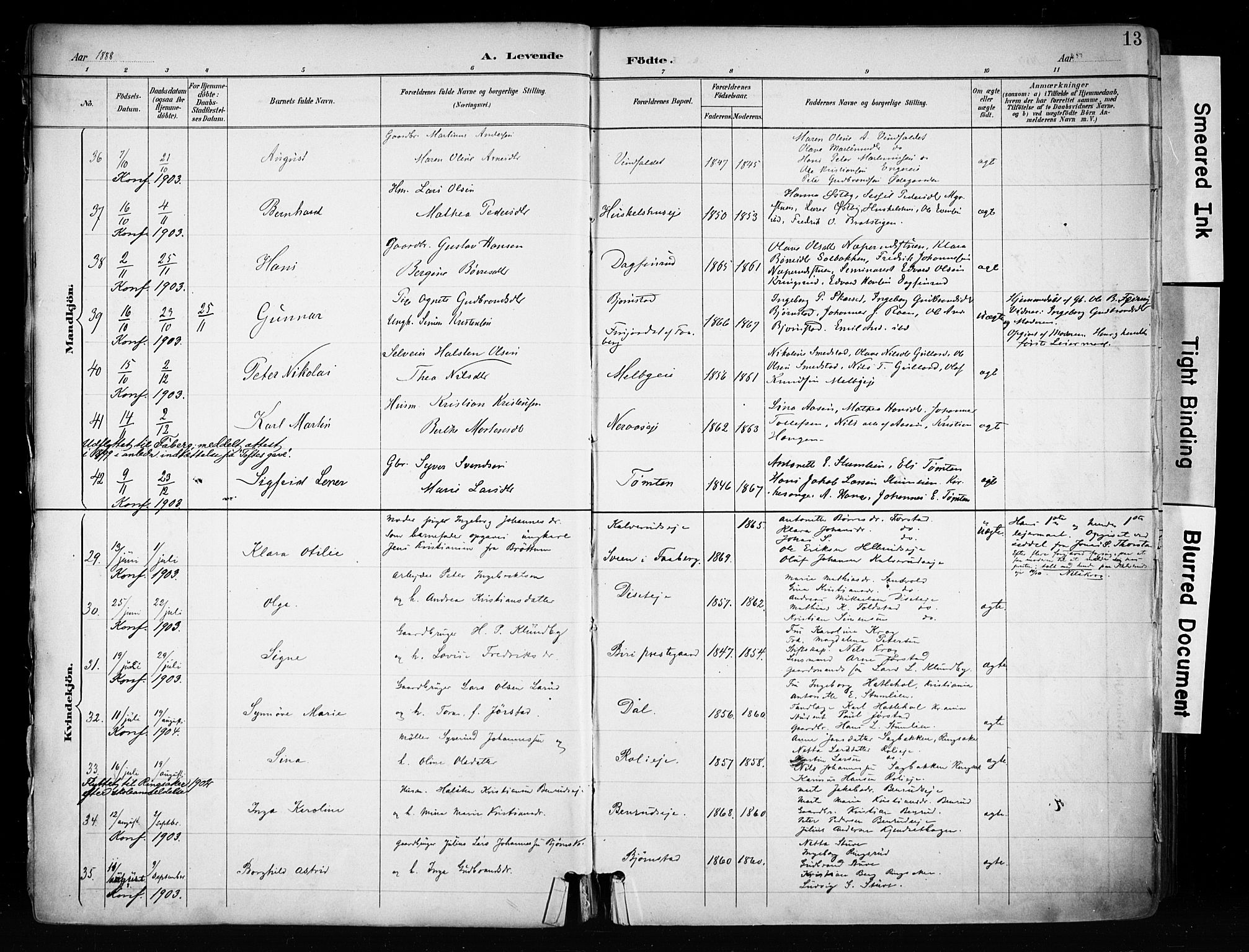 Biri prestekontor, SAH/PREST-096/H/Ha/Haa/L0009: Parish register (official) no. 9, 1887-1900, p. 13