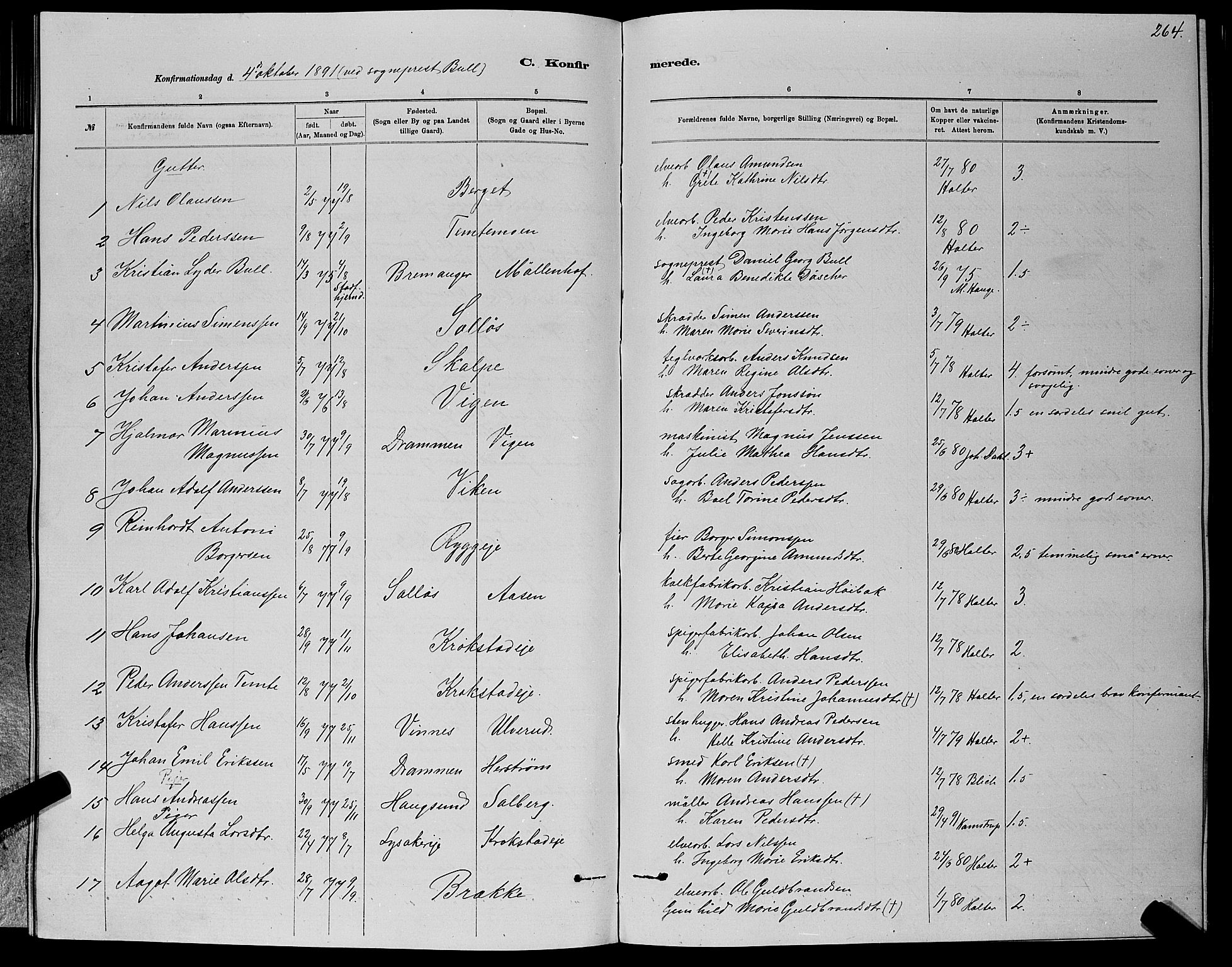 Nedre Eiker kirkebøker, AV/SAKO-A-612/G/Ga/L0002: Parish register (copy) no. 2, 1880-1896, p. 264