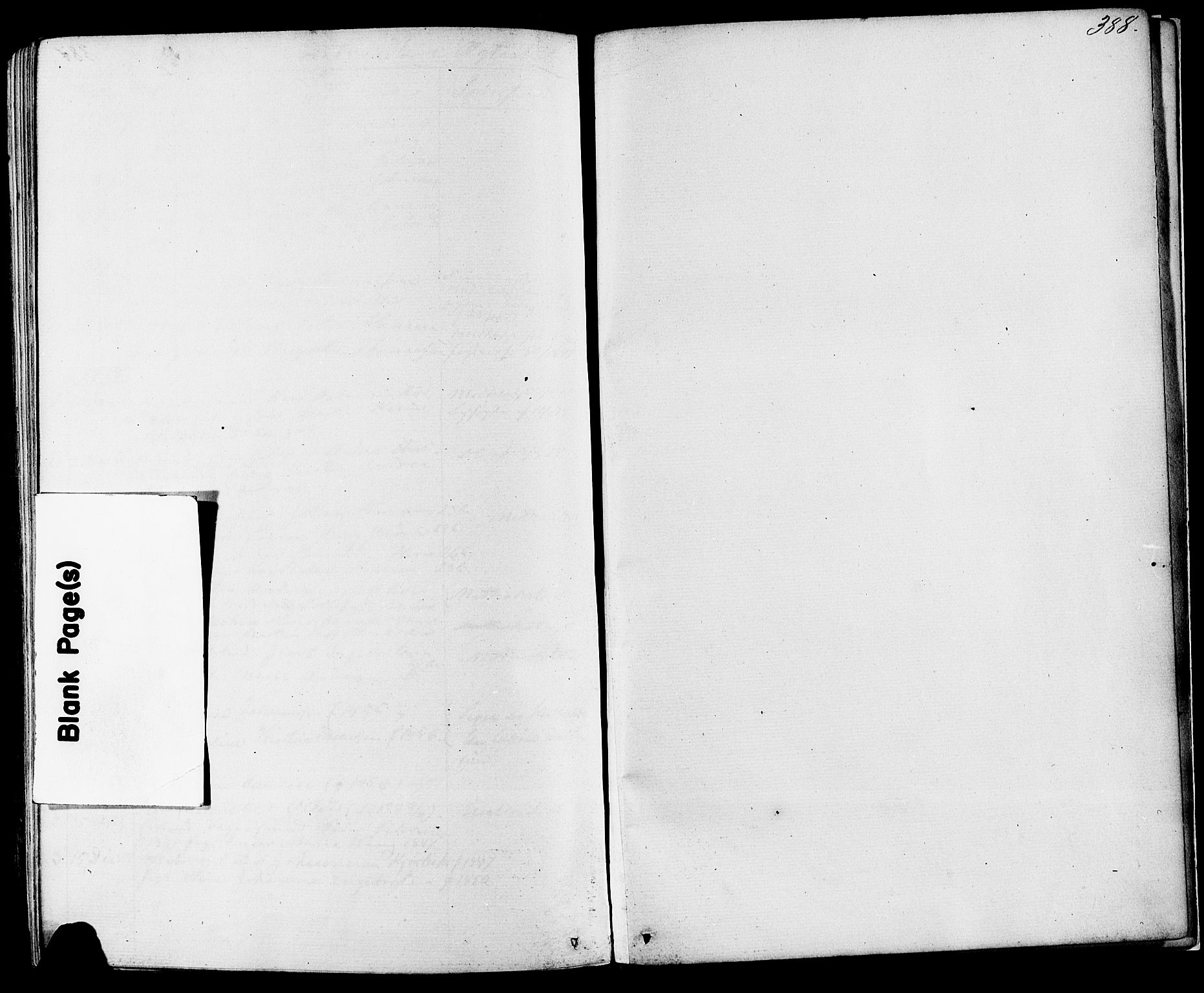 Skien kirkebøker, AV/SAKO-A-302/F/Fa/L0008: Parish register (official) no. 8, 1866-1877, p. 388