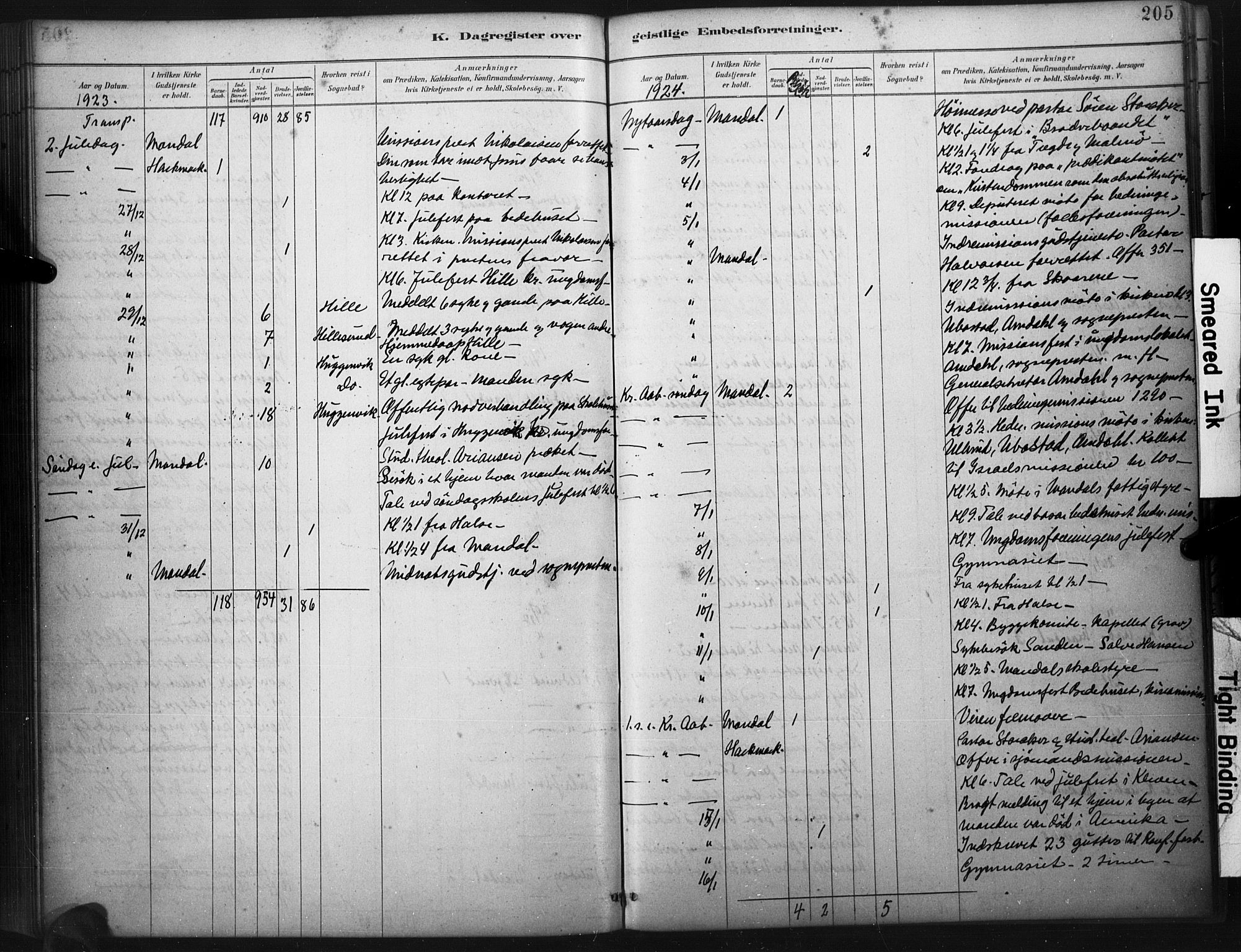 Mandal sokneprestkontor, SAK/1111-0030/F/Fa/Faa/L0017: Parish register (official) no. A 17, 1880-1926, p. 205