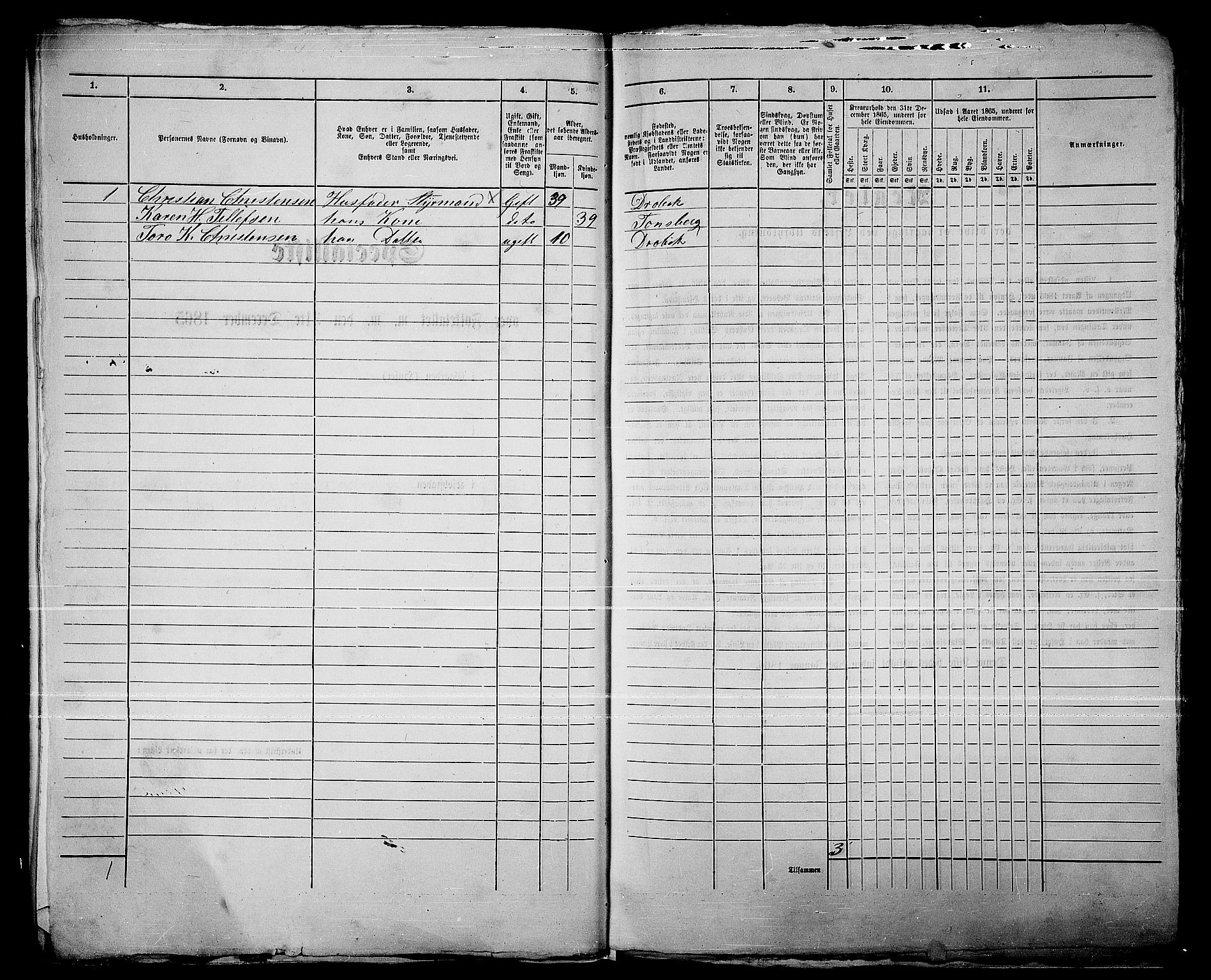 RA, 1865 census for Drøbak/Drøbak, 1865, p. 13