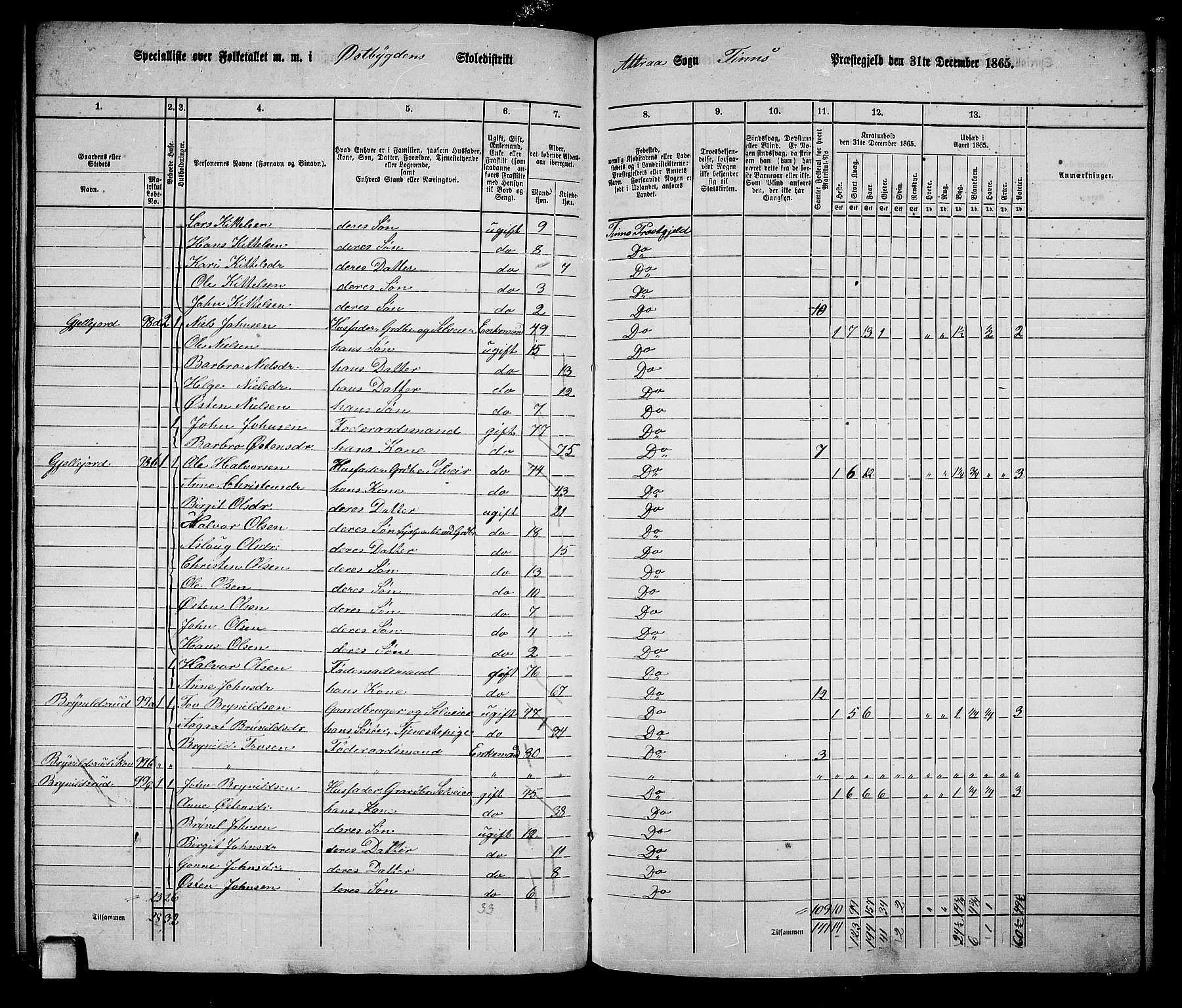 RA, 1865 census for Tinn, 1865, p. 13