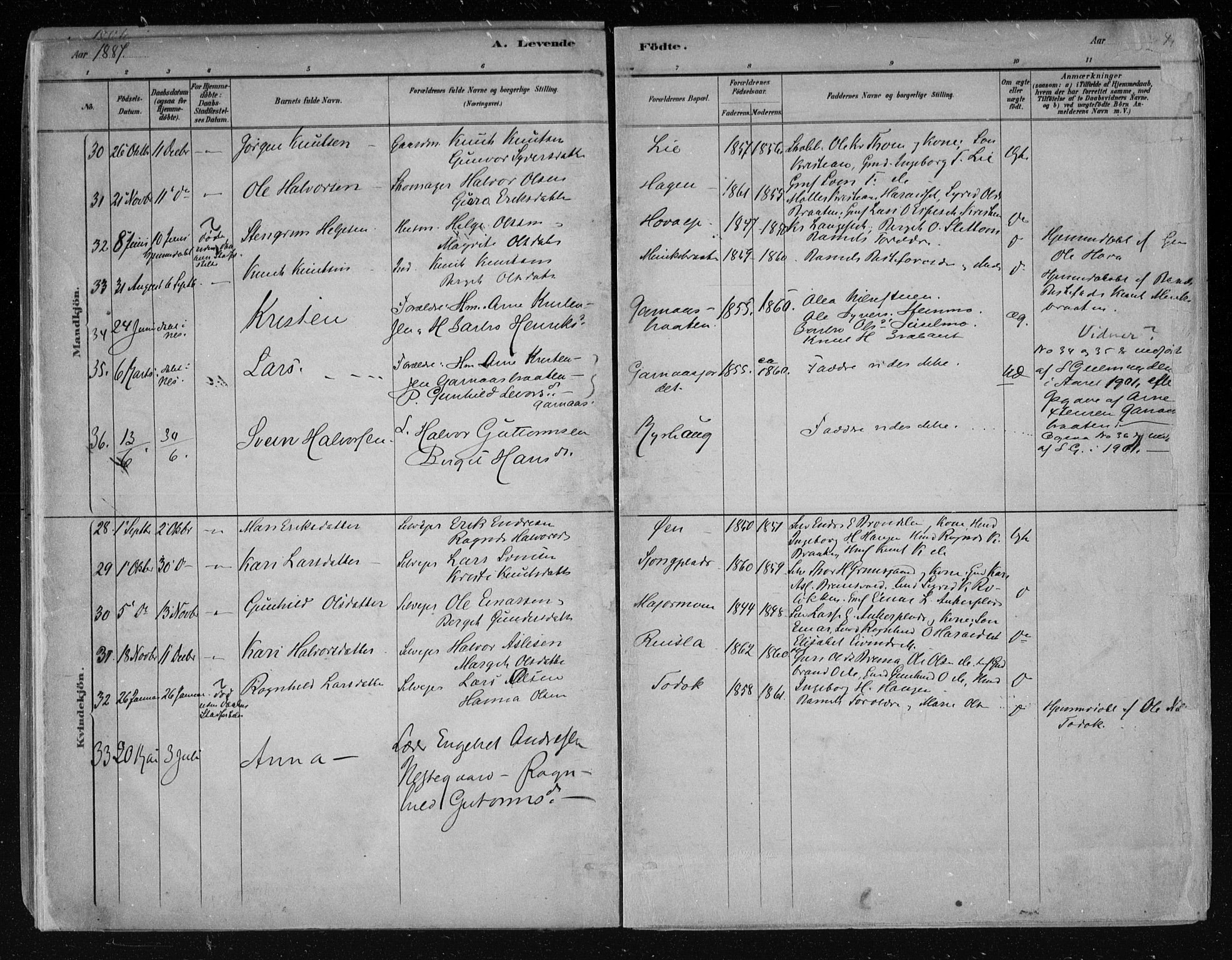 Nes kirkebøker, AV/SAKO-A-236/F/Fa/L0011: Parish register (official) no. 11, 1881-1912, p. 41