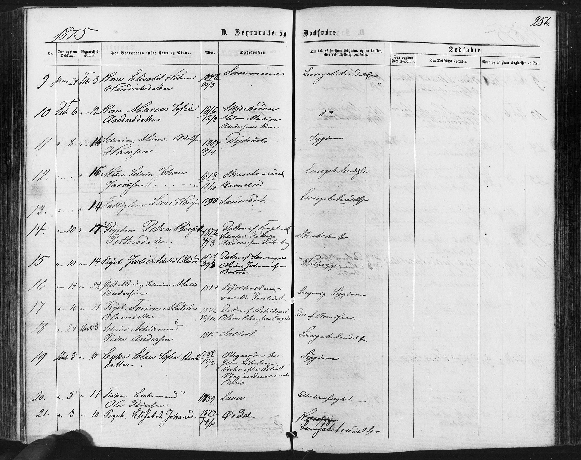 Hvaler prestekontor Kirkebøker, SAO/A-2001/F/Fa/L0007: Parish register (official) no. I 7, 1864-1878, p. 256