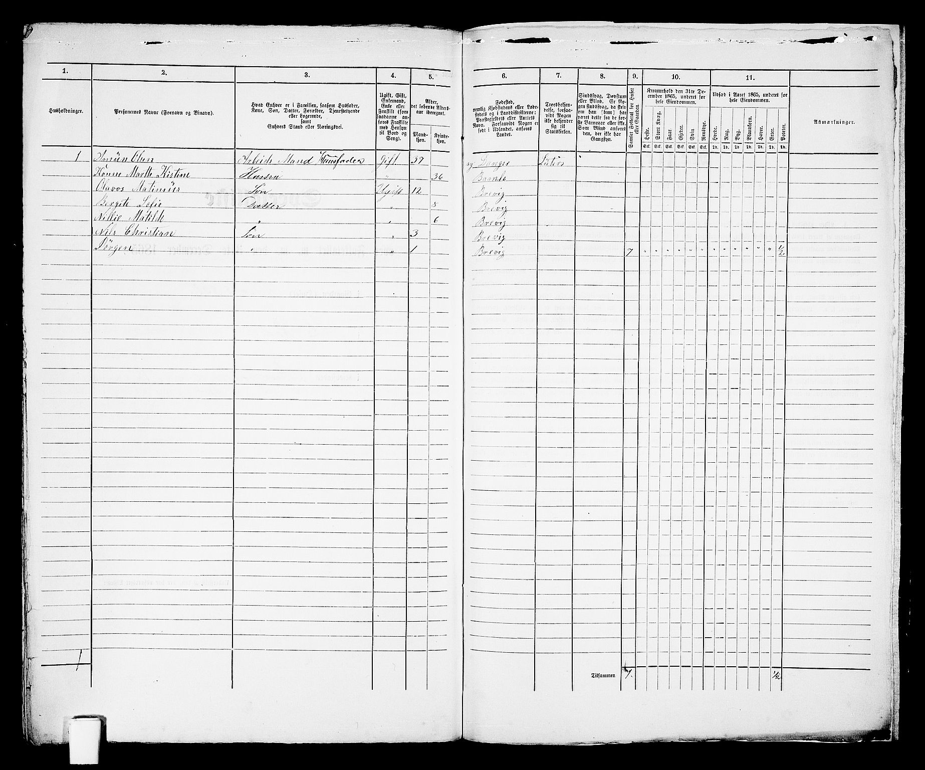 RA, 1865 census for Brevik, 1865, p. 374