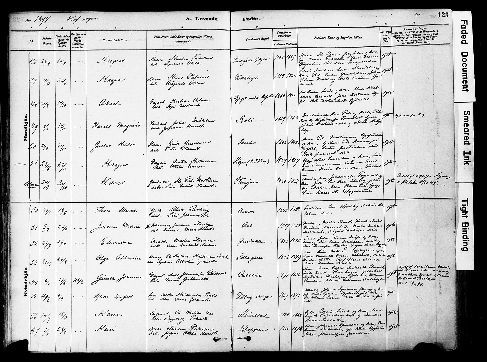 Østre Toten prestekontor, AV/SAH-PREST-104/H/Ha/Haa/L0006: Parish register (official) no. 6 /1, 1878-1896, p. 123