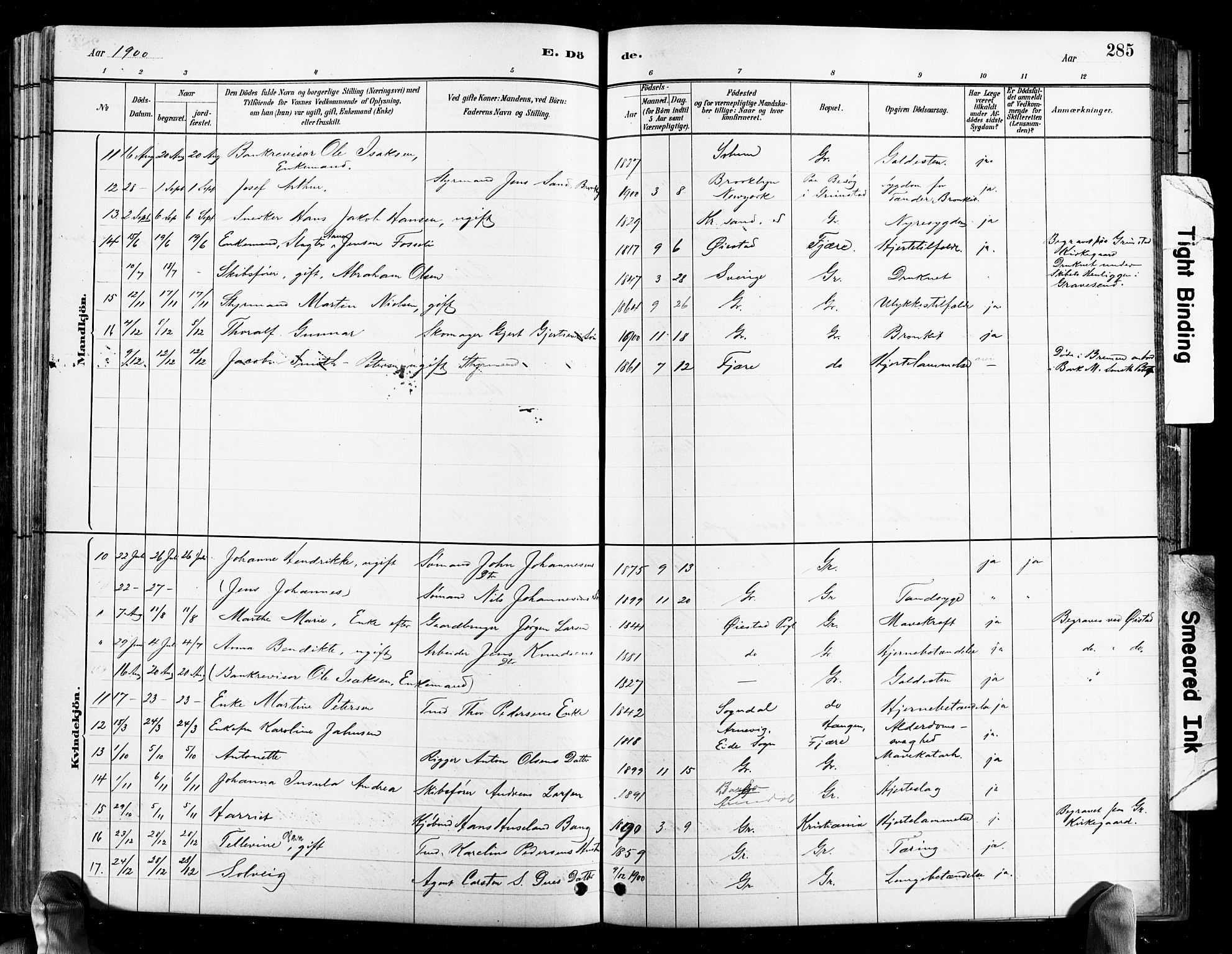 Grimstad sokneprestkontor, SAK/1111-0017/F/Fb/L0001: Parish register (copy) no. B 1, 1881-1922, p. 285